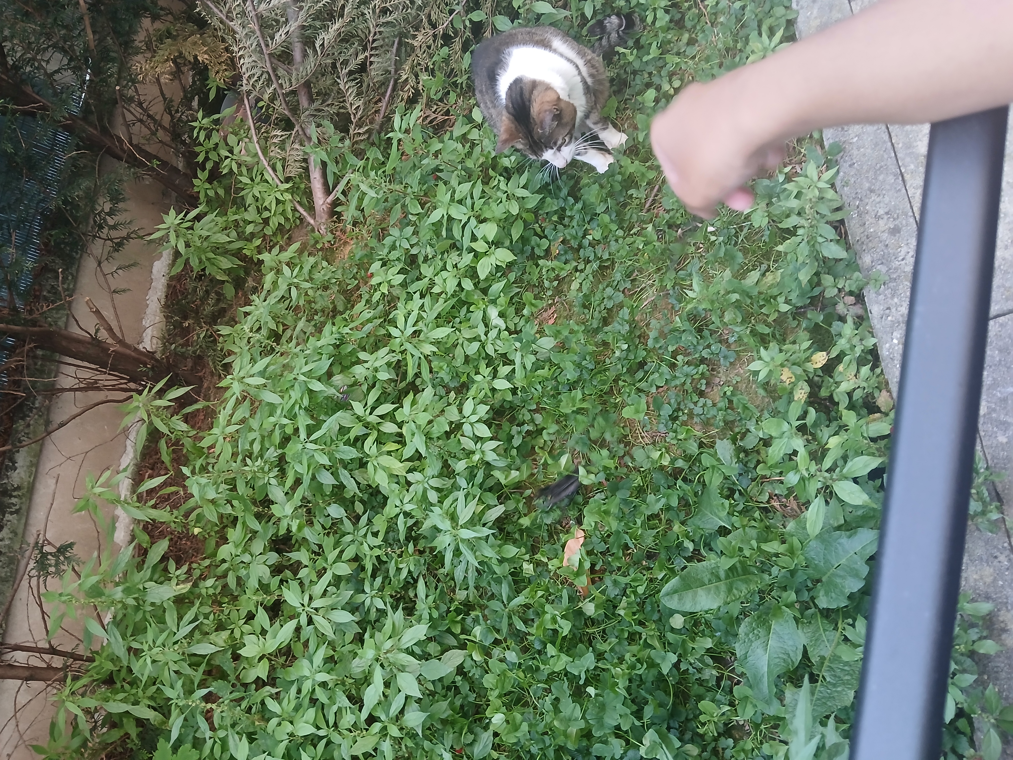 image-9