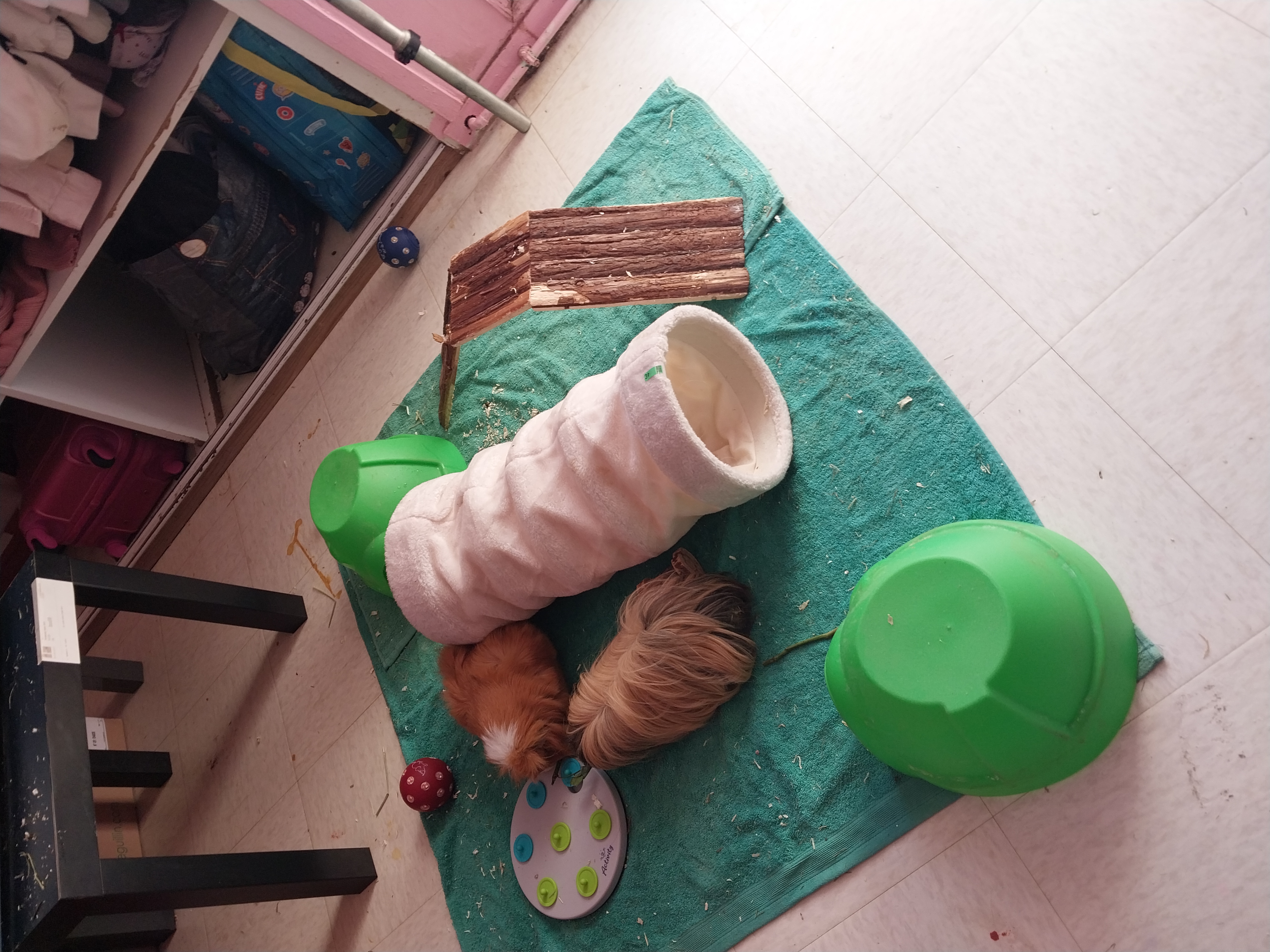 image-16