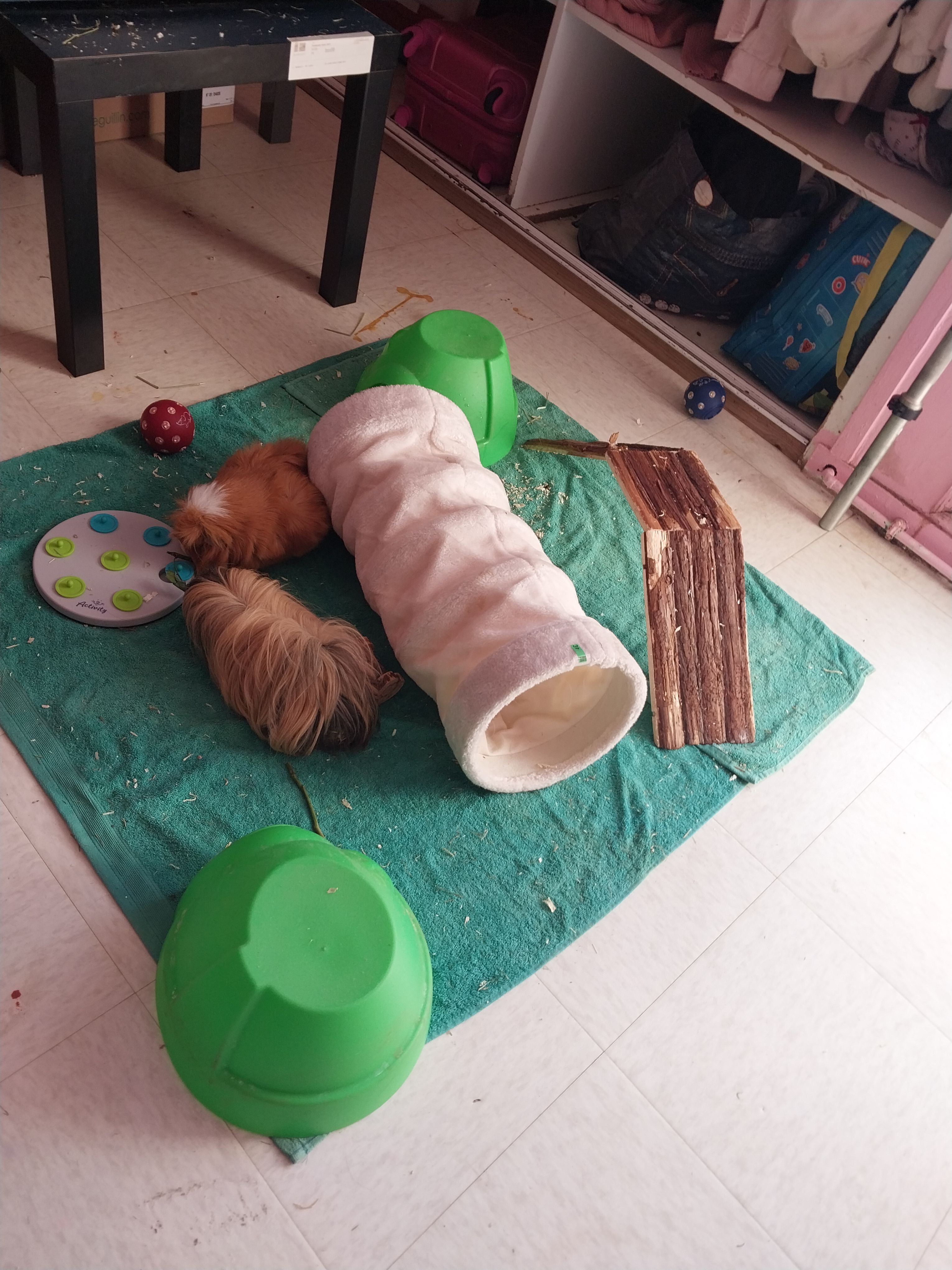 image-16
