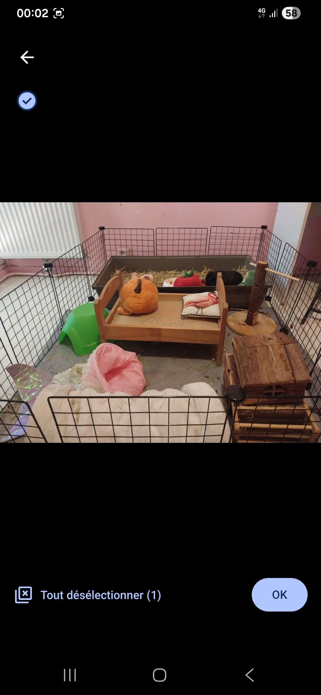 image-19