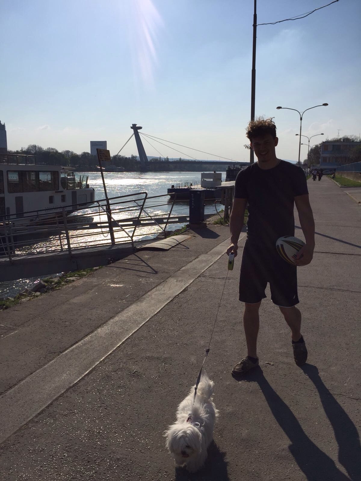 image-7