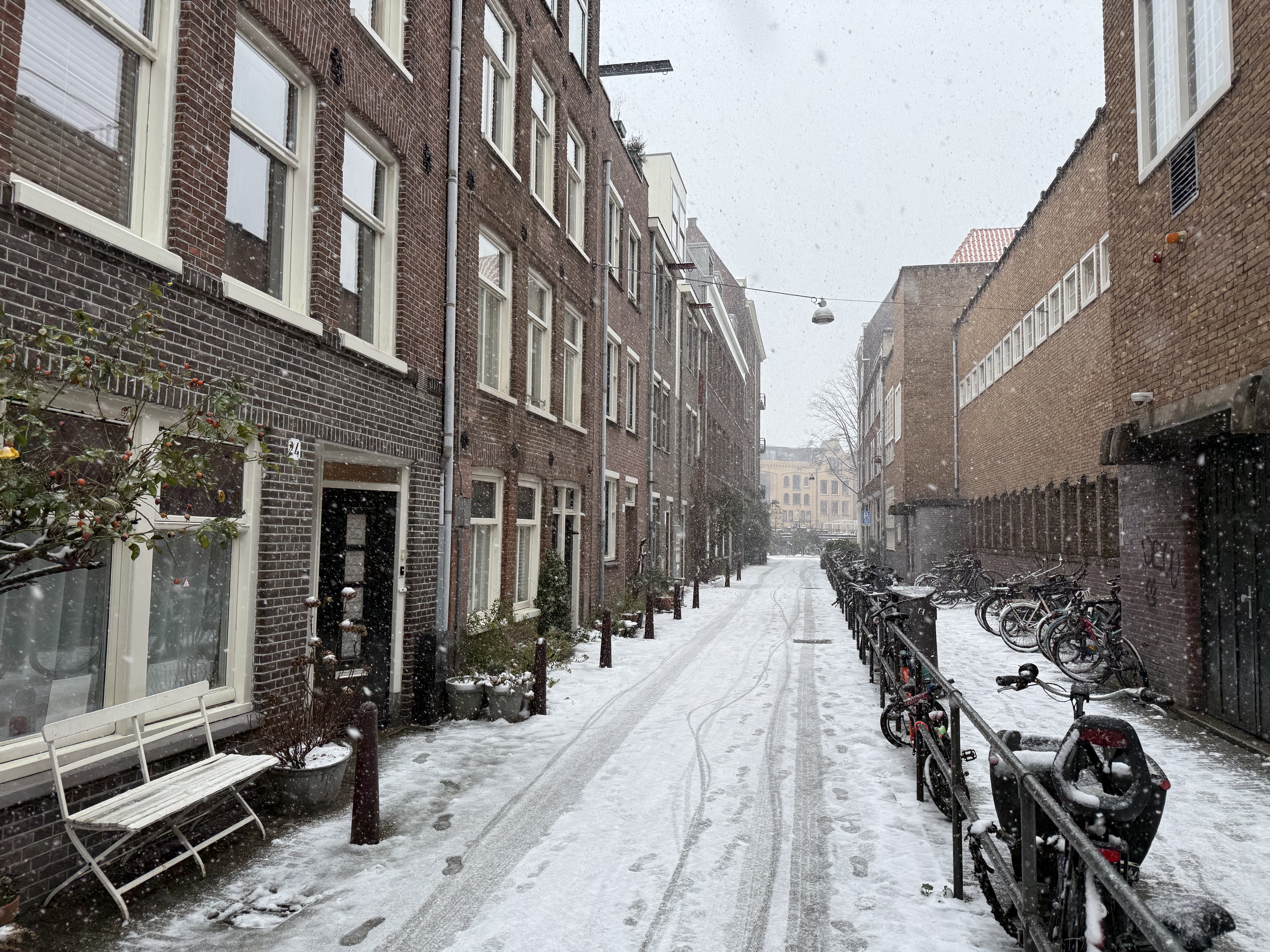 image-20