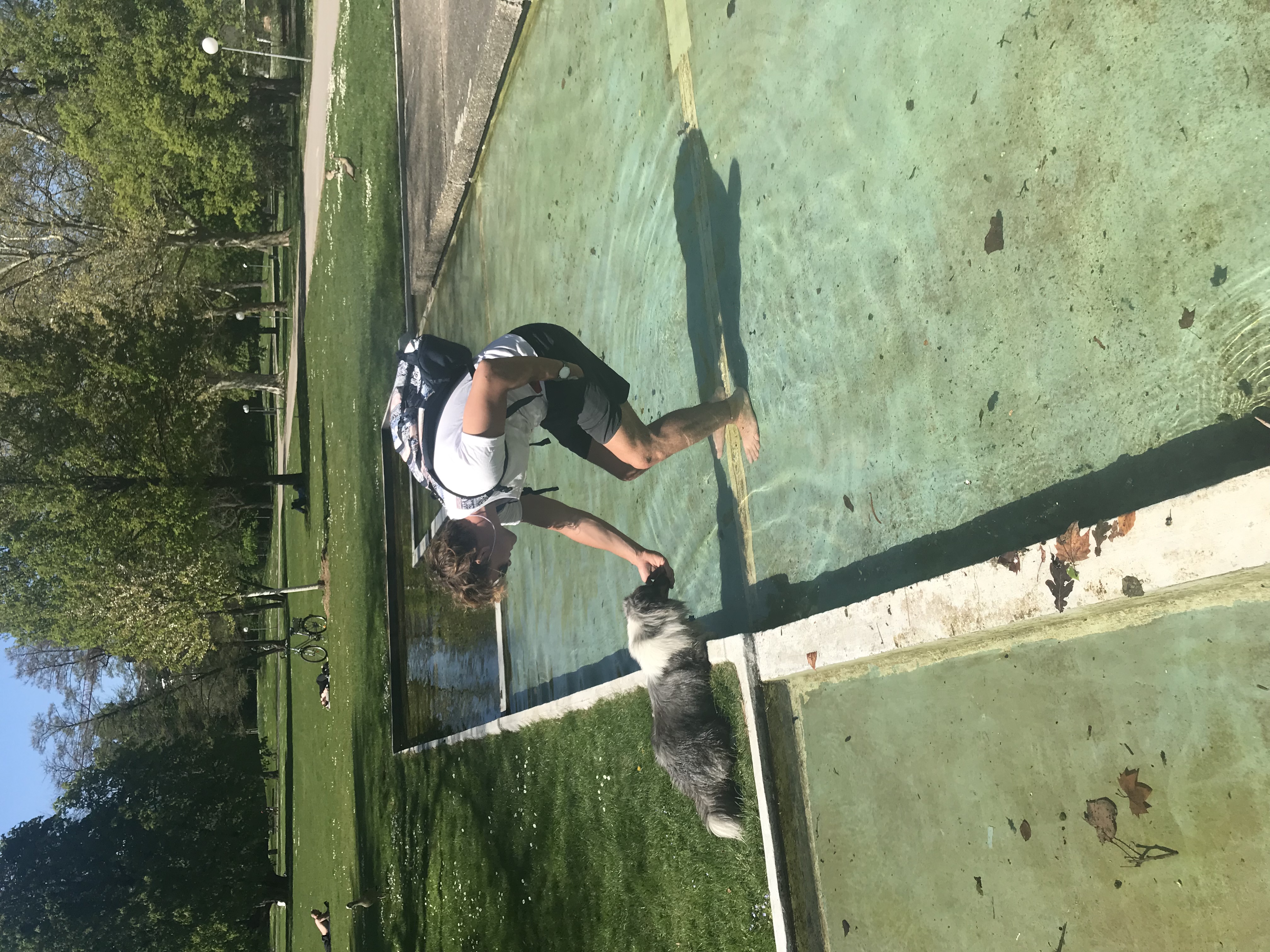 image-4
