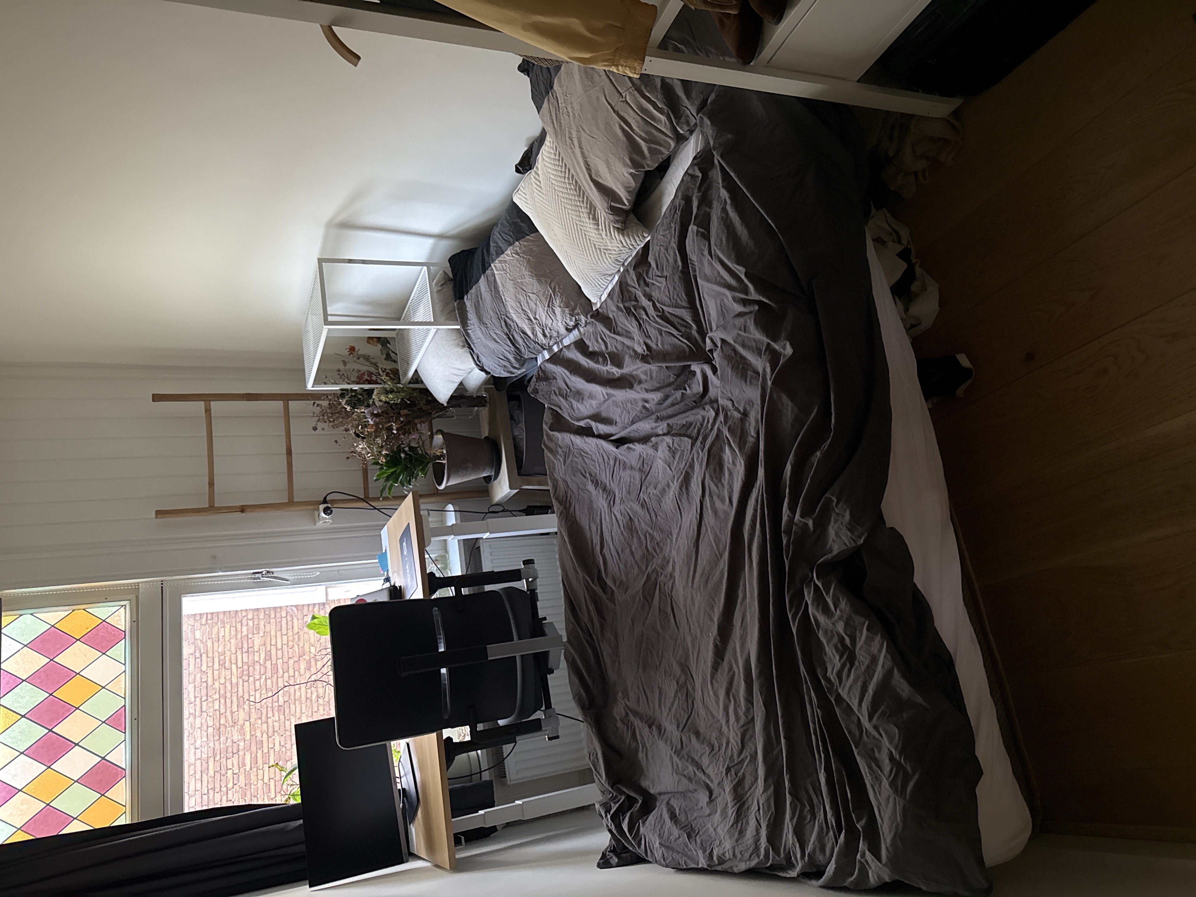 image-19