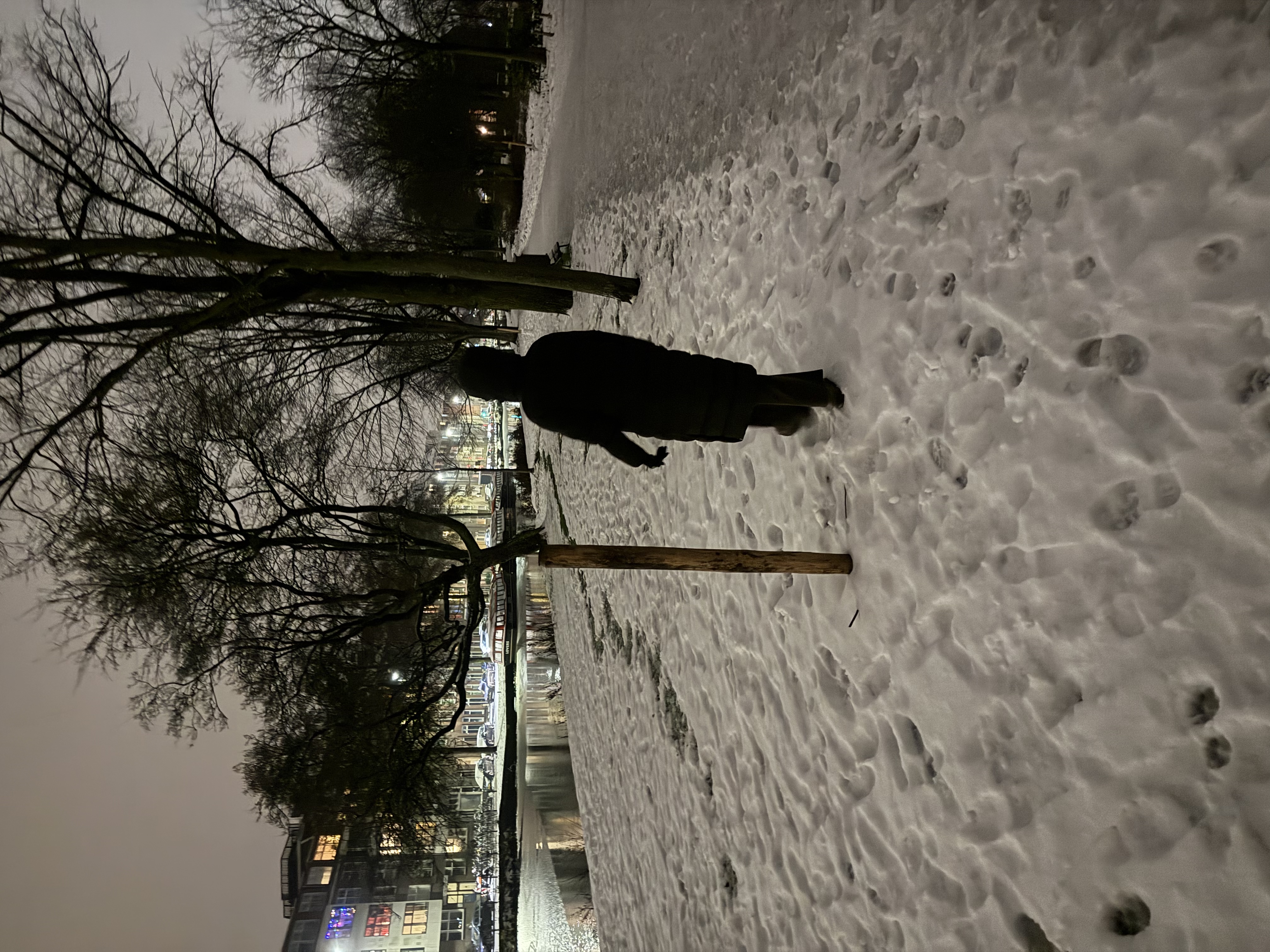 image-21