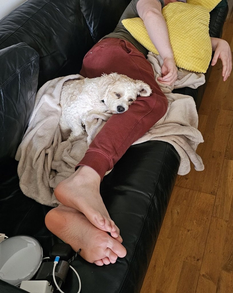 image-10