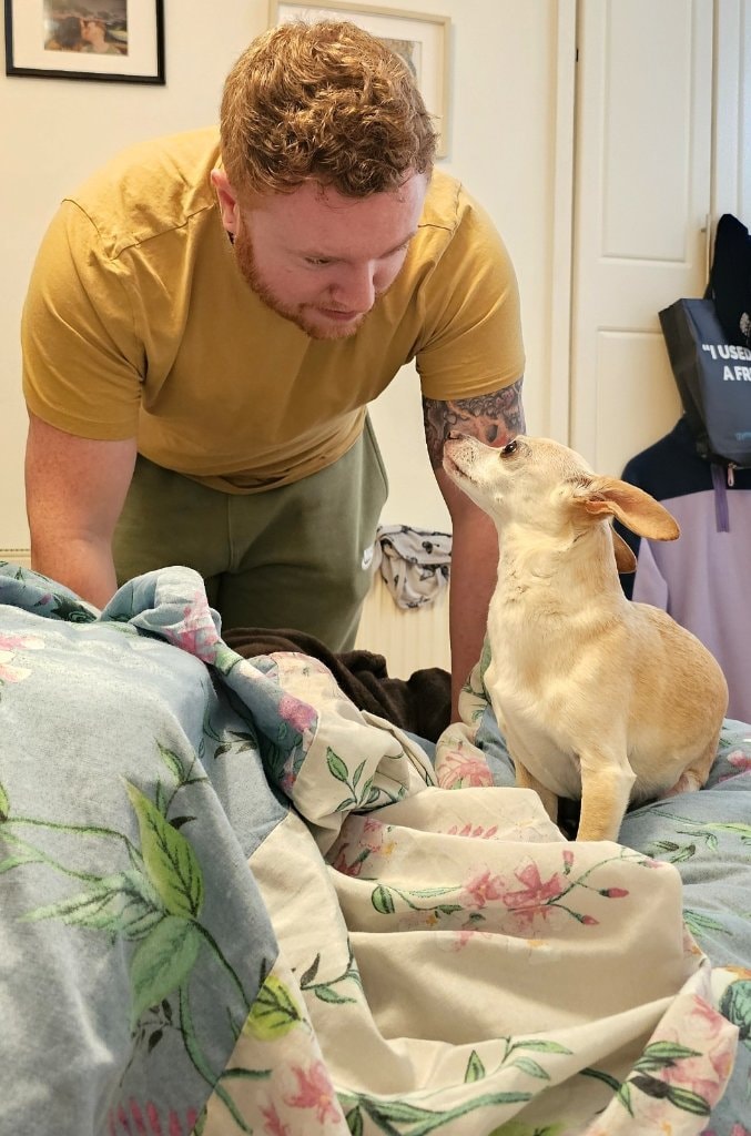 image-16