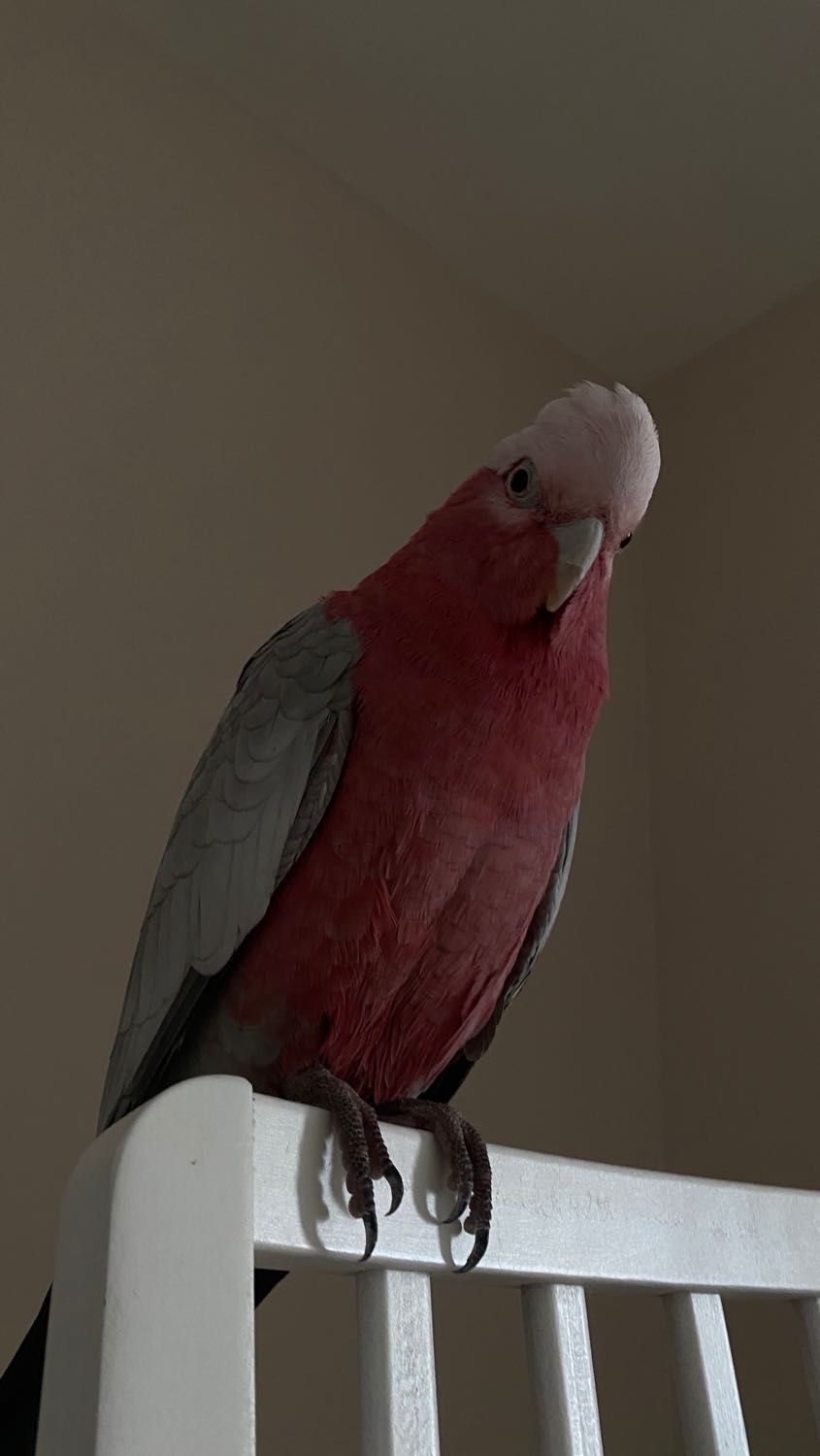 image-14