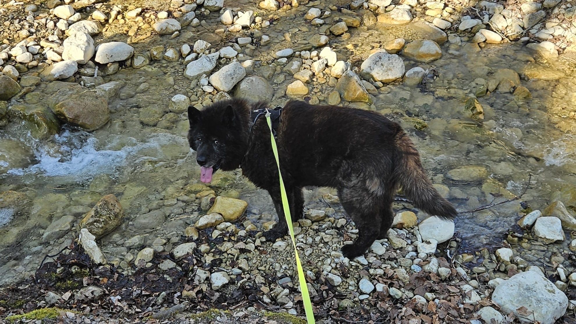 image-7