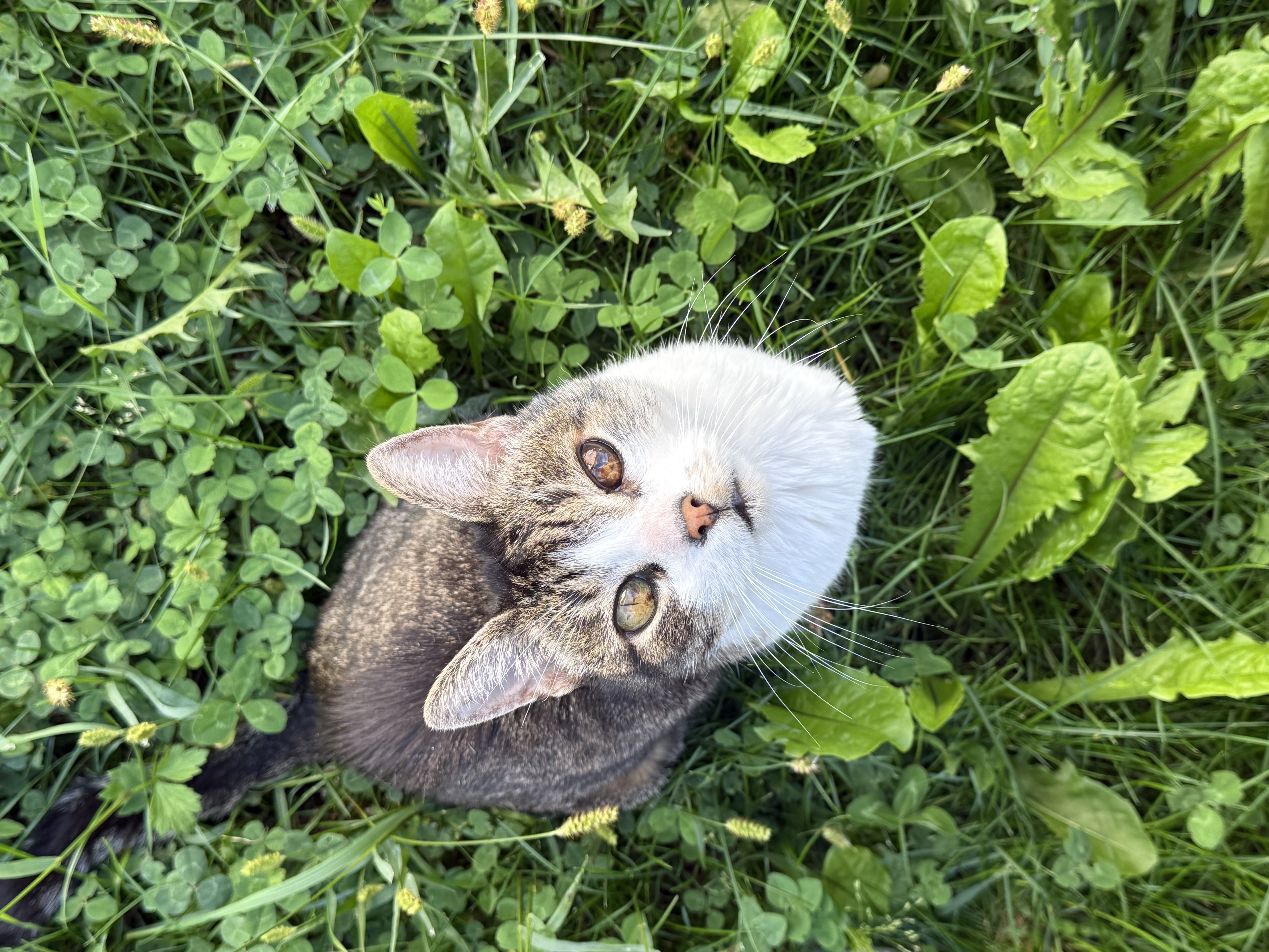 image-6