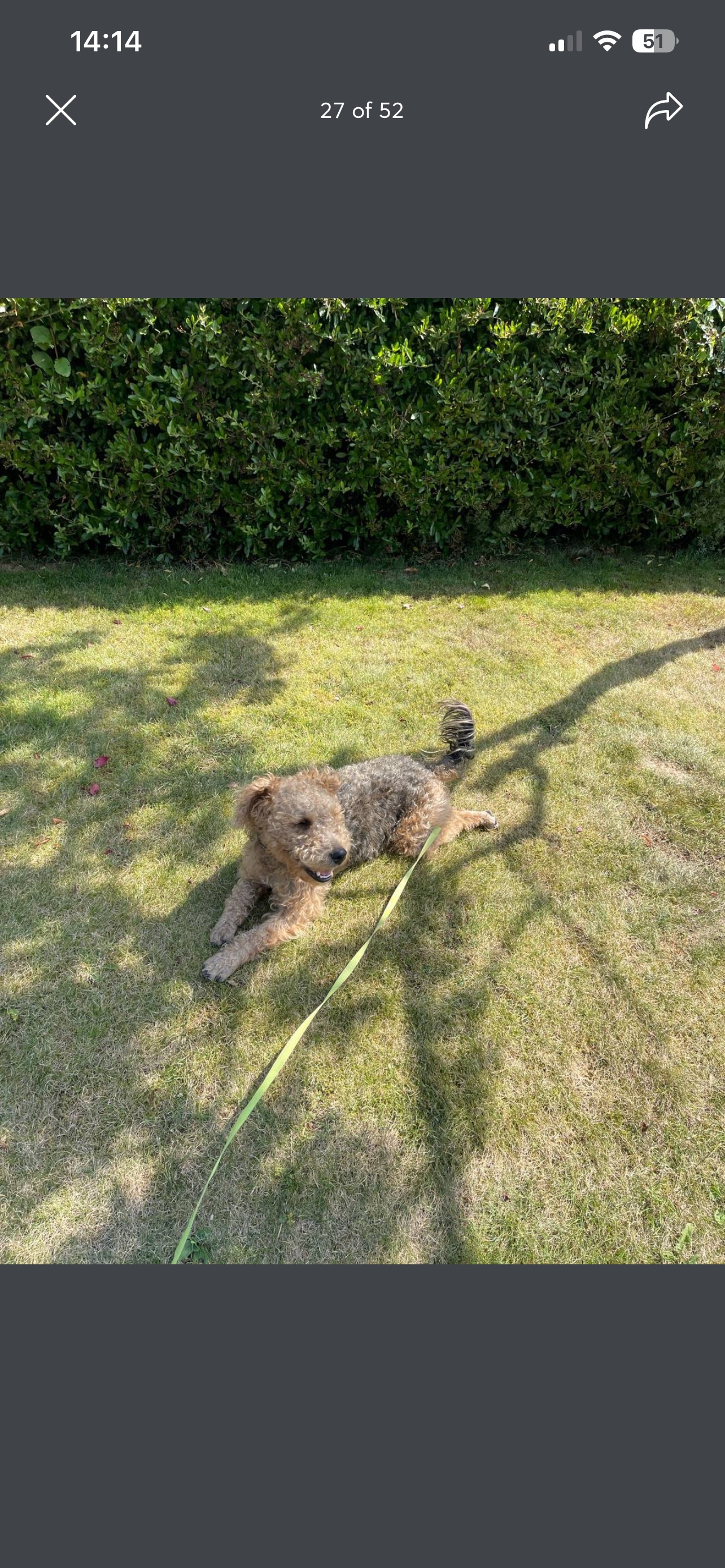 image-393