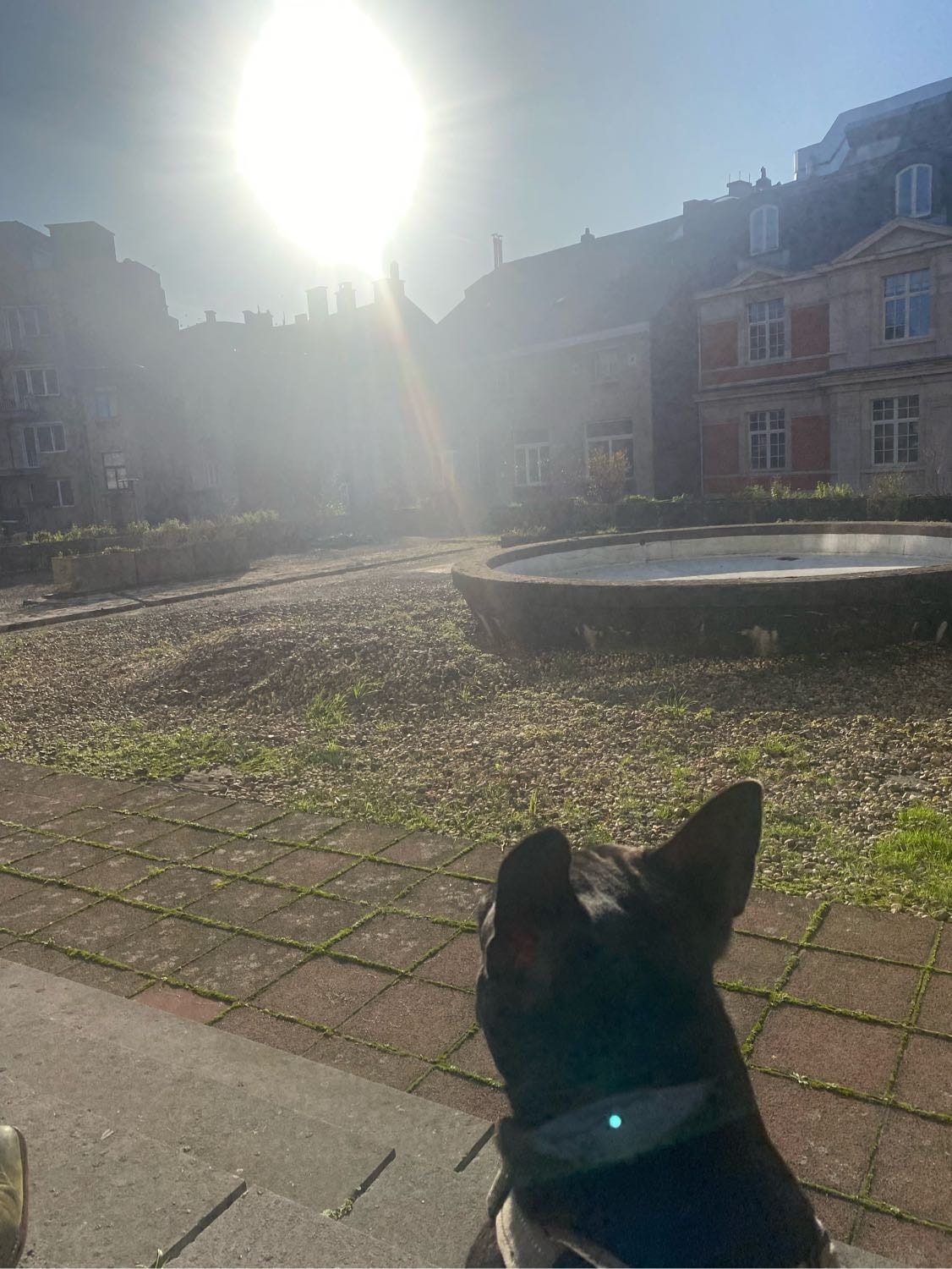 image-6