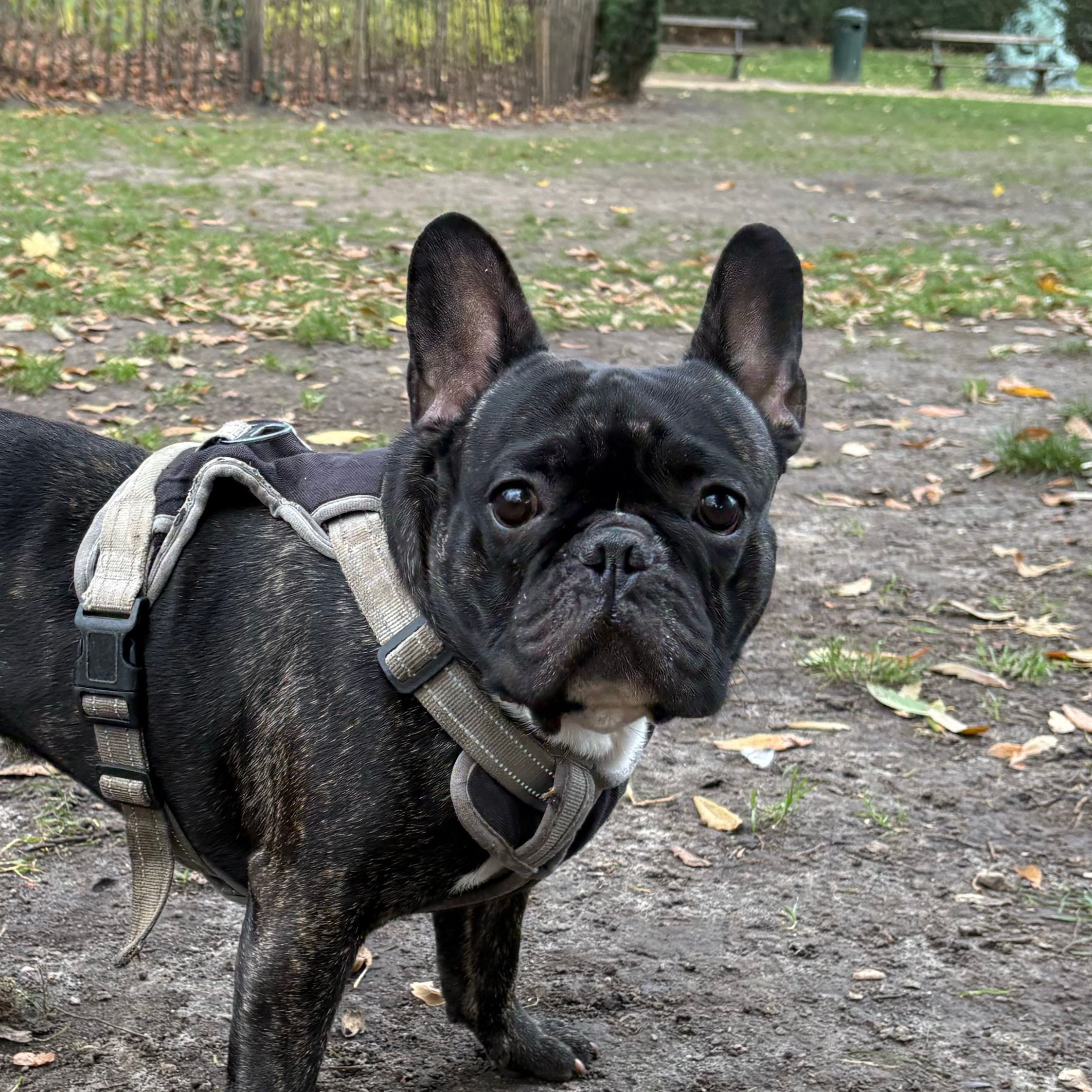 Charlie