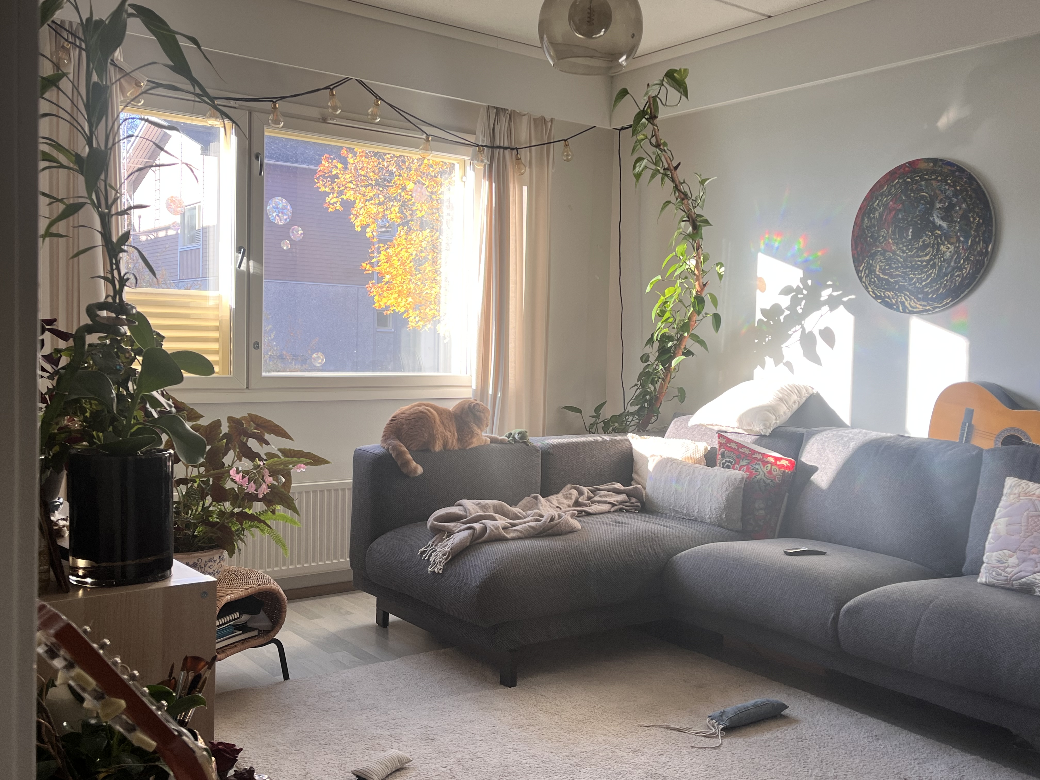 image-15
