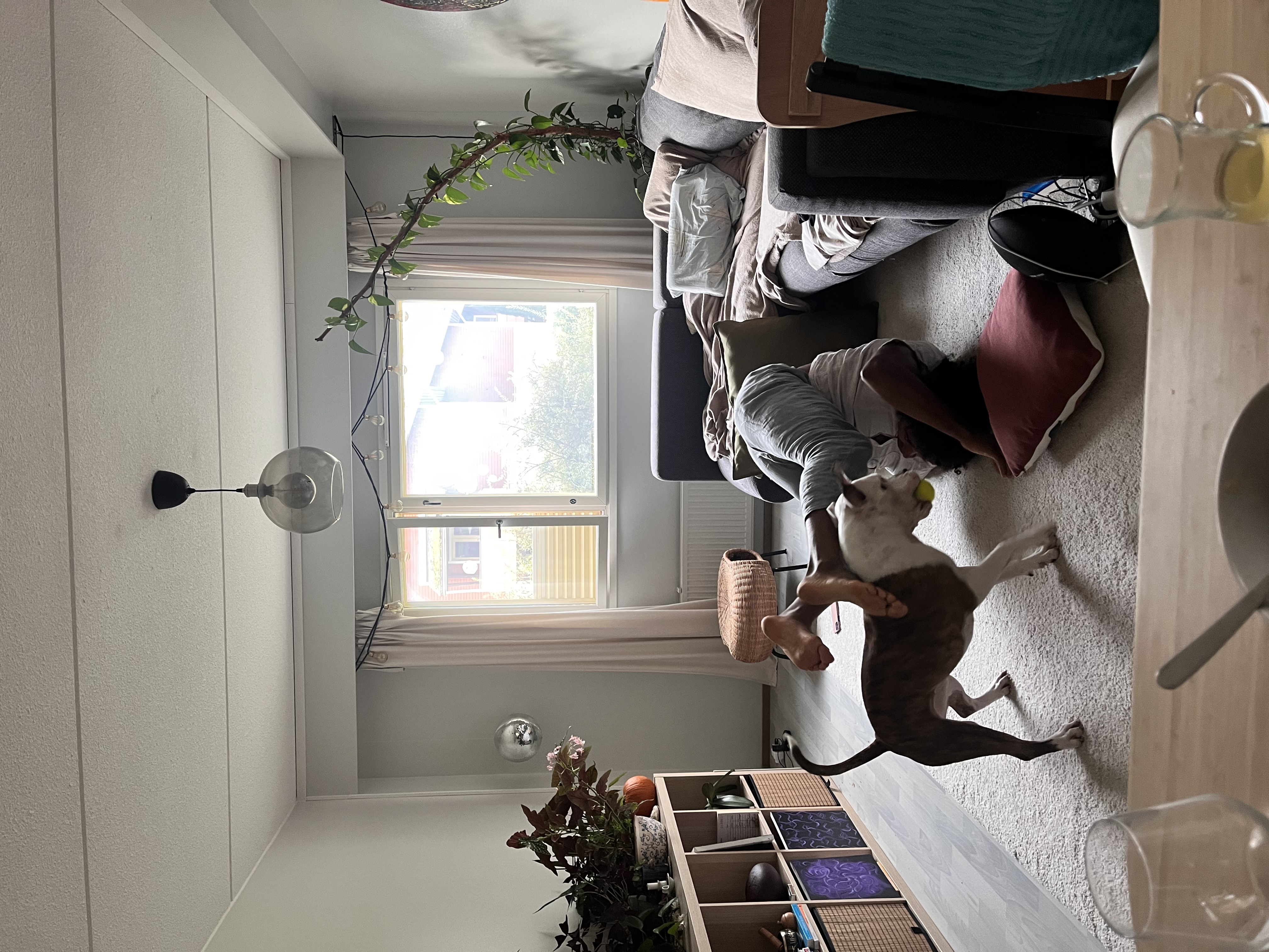 image-16