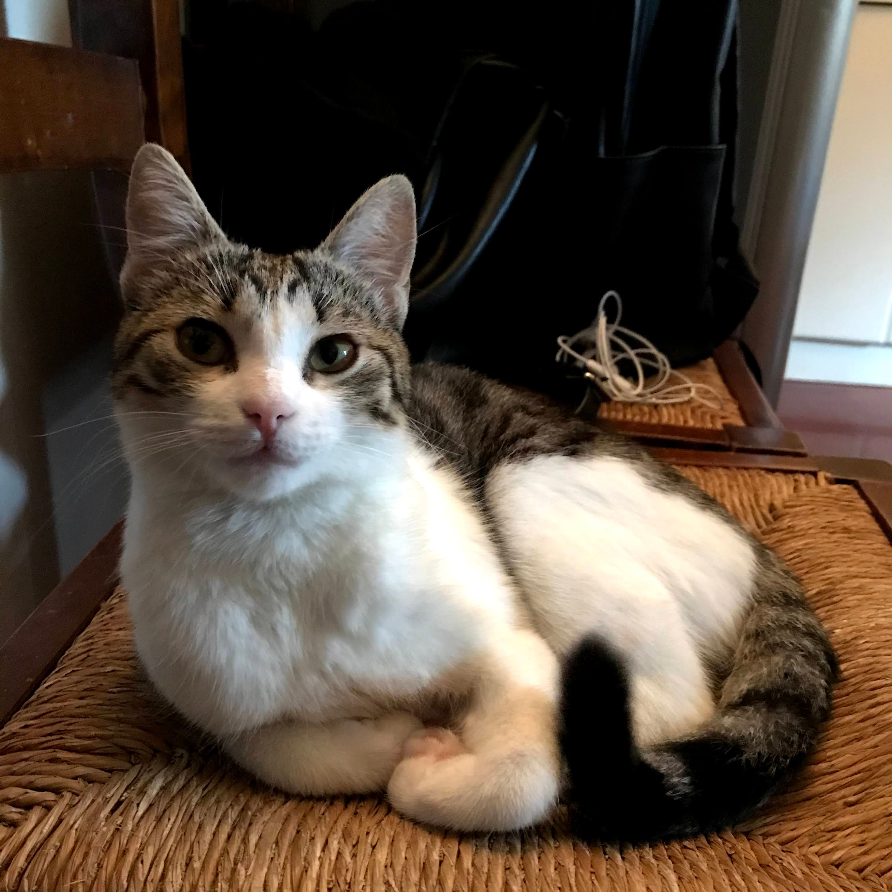Kiki