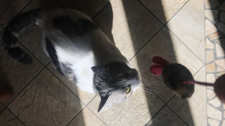 image-6