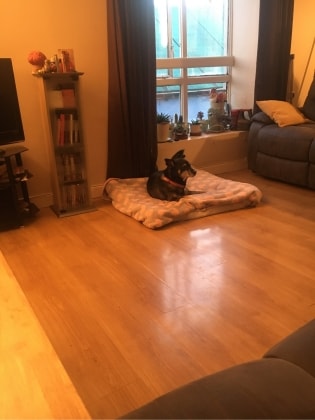 image-17