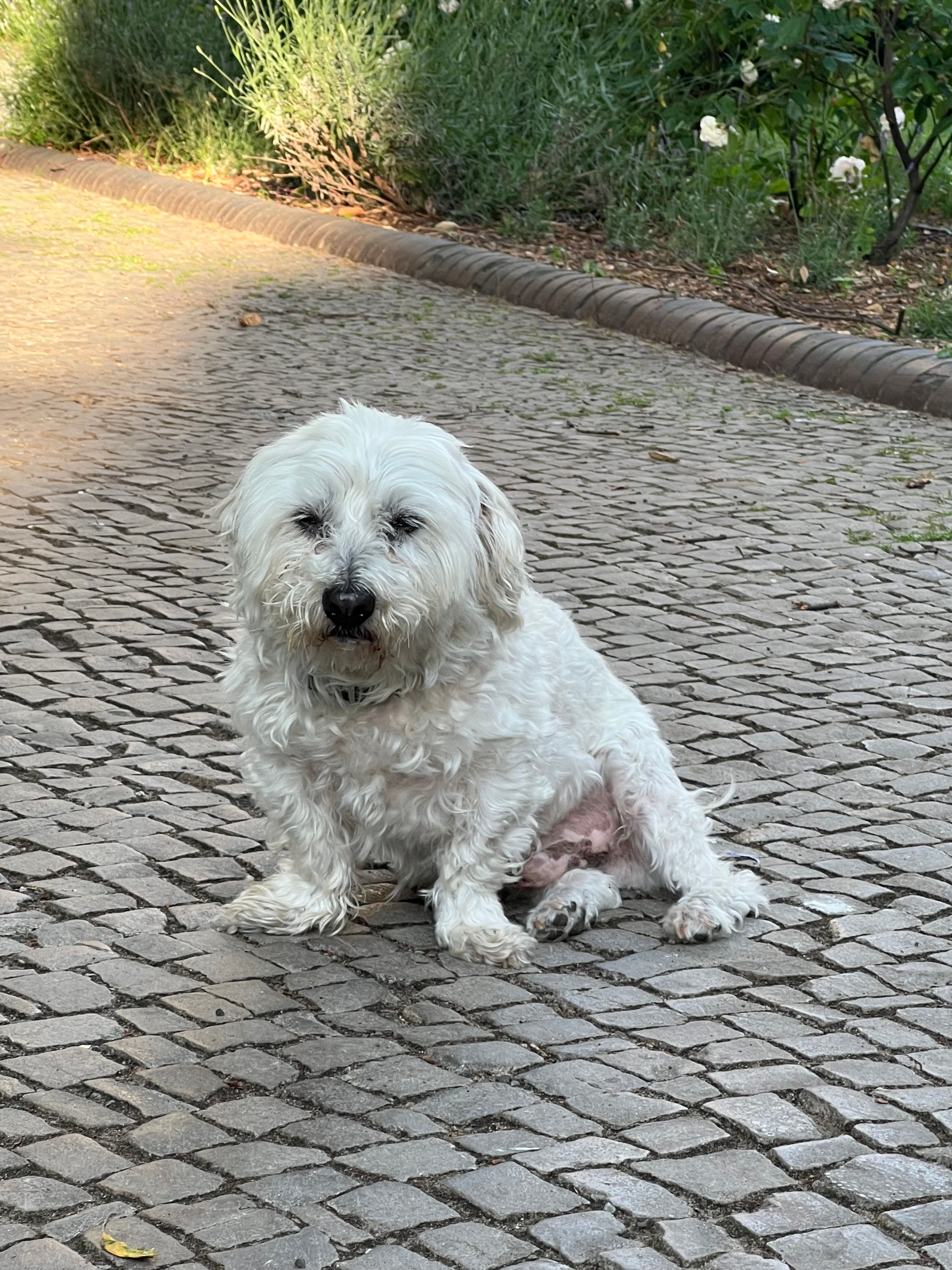 image-12