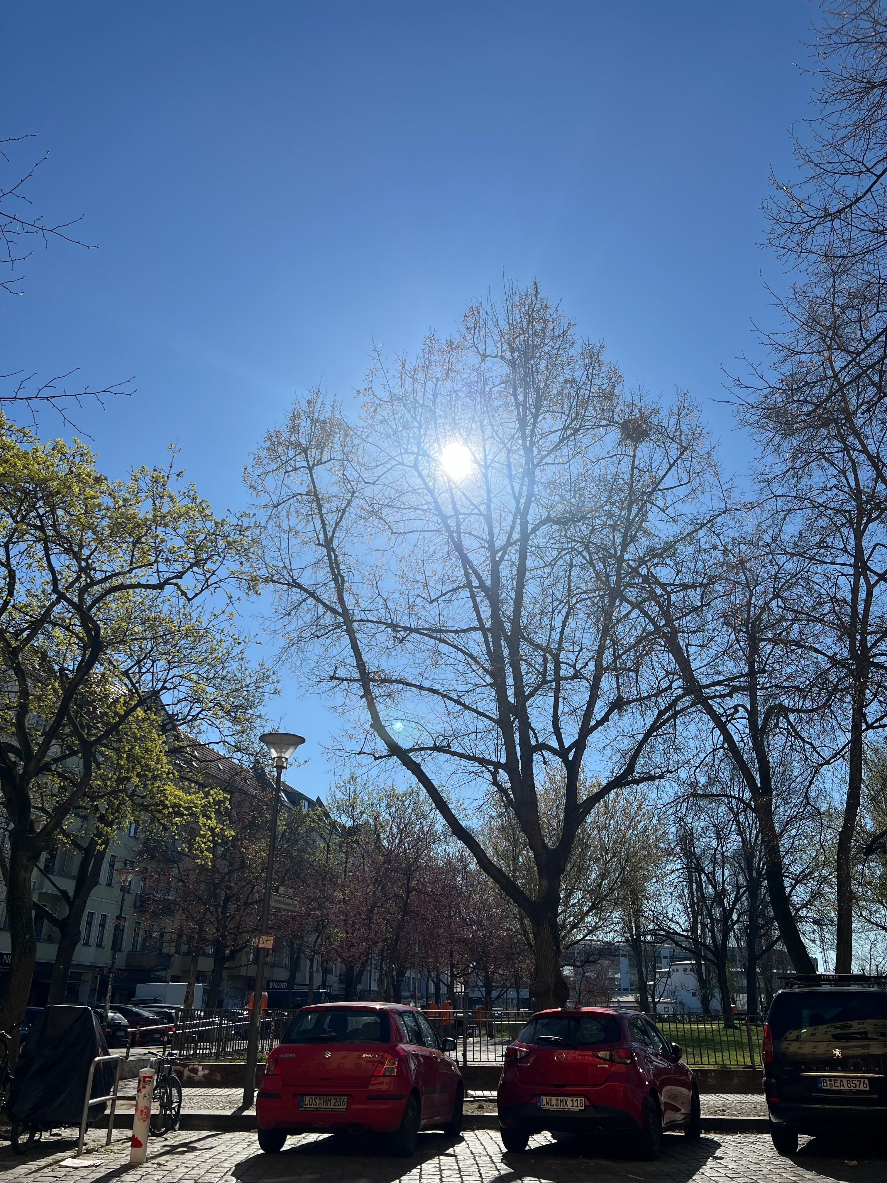 image-18