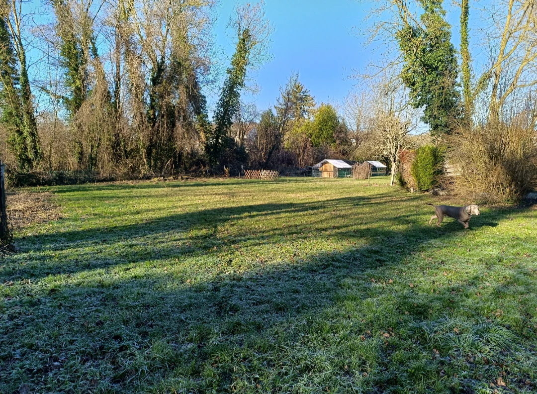 image-17