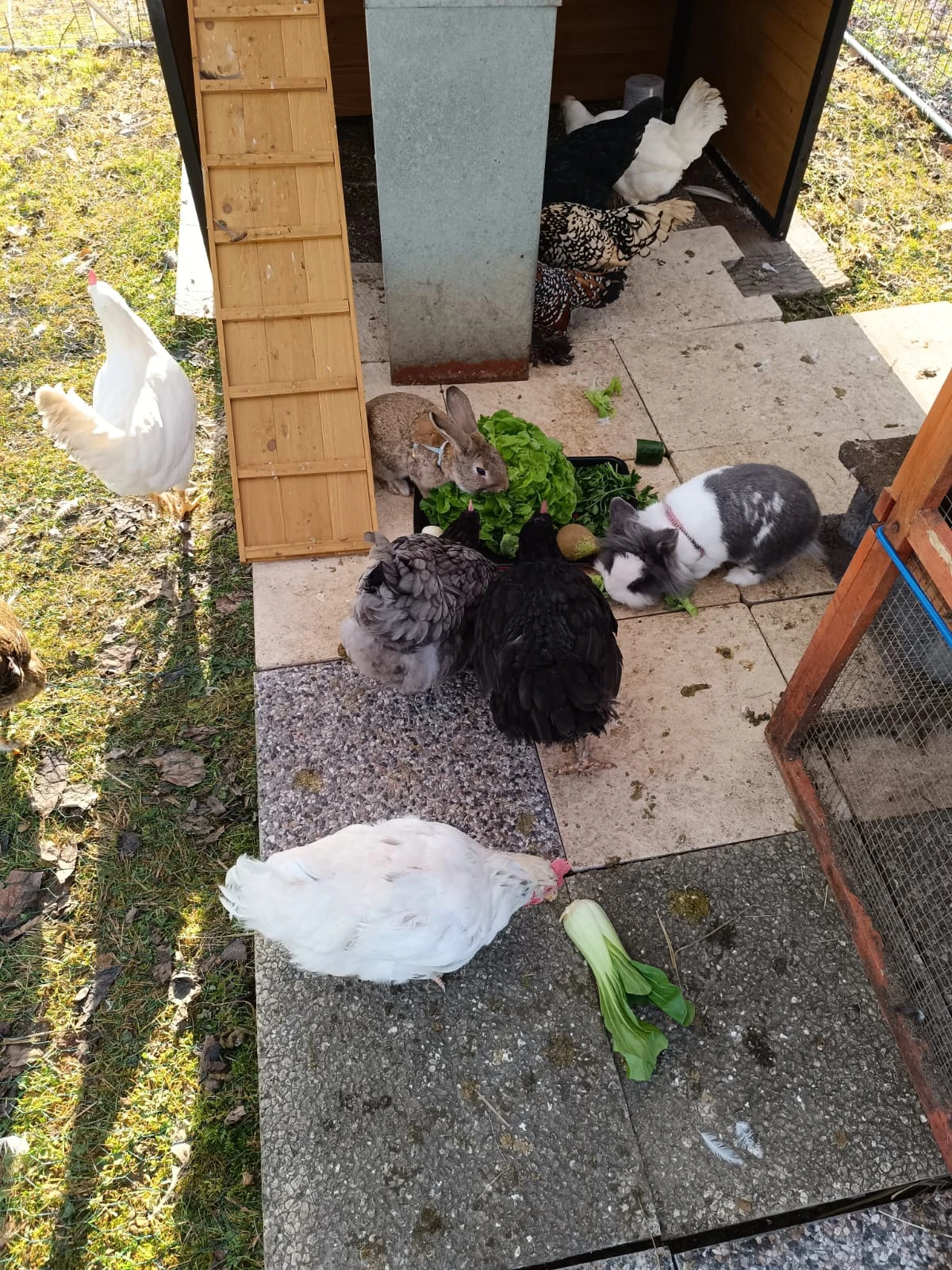 image-19