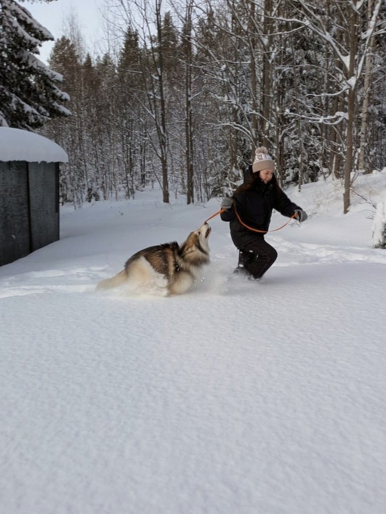 image-5