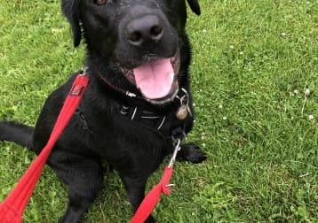 Benson