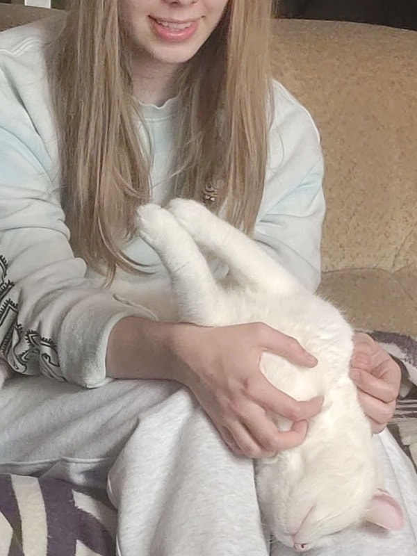 image-6