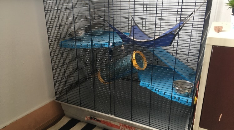 image-8