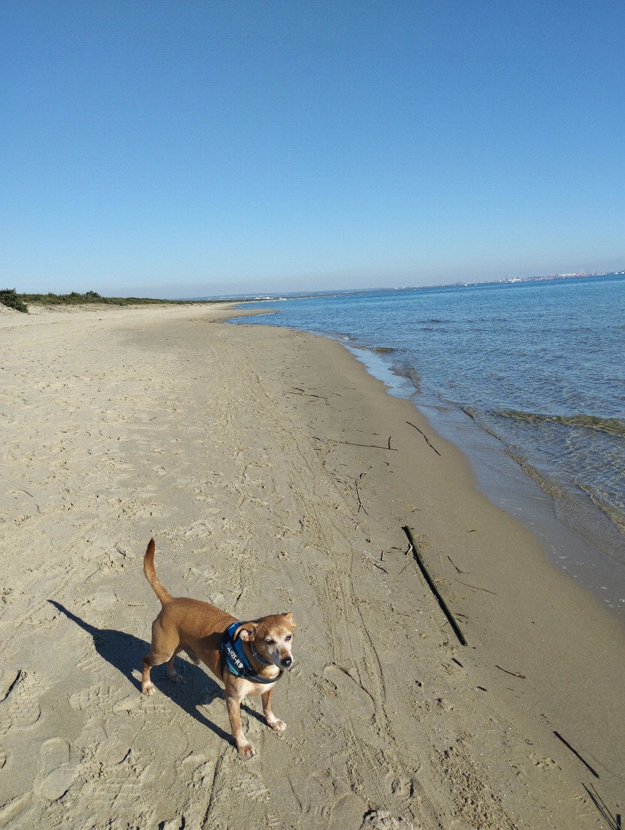 image-5