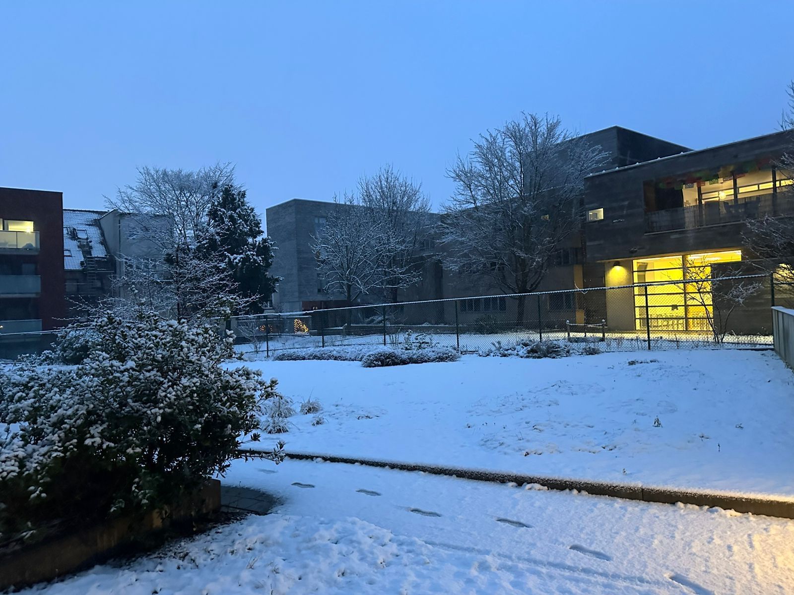 image-9