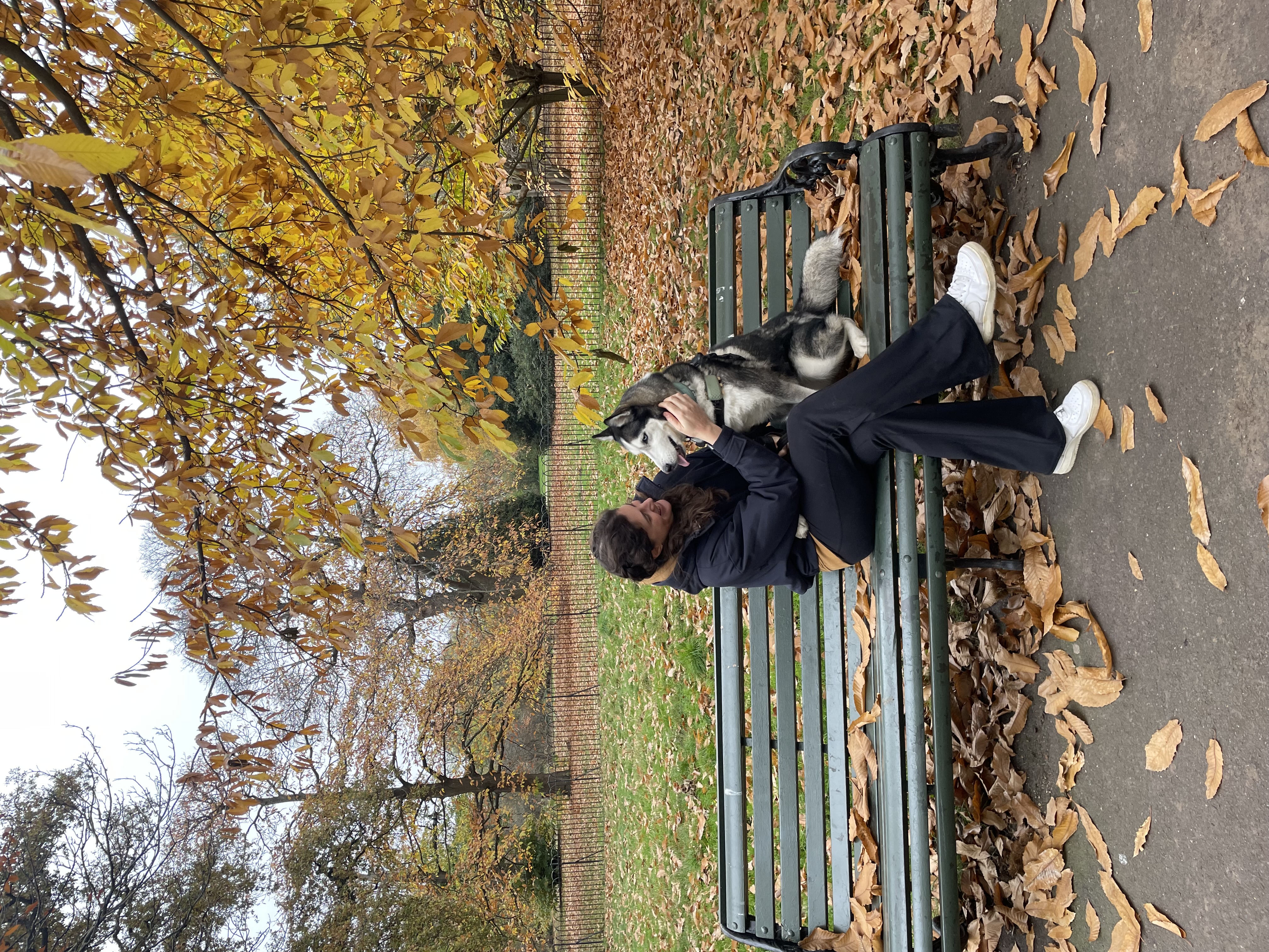 image-0