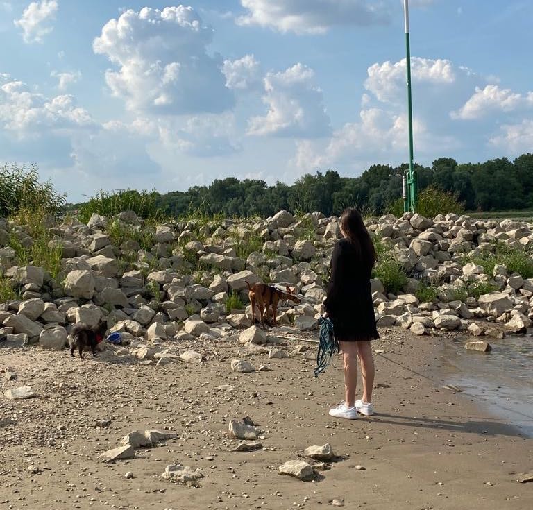 image-3