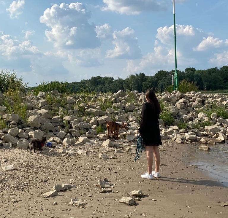 image-3