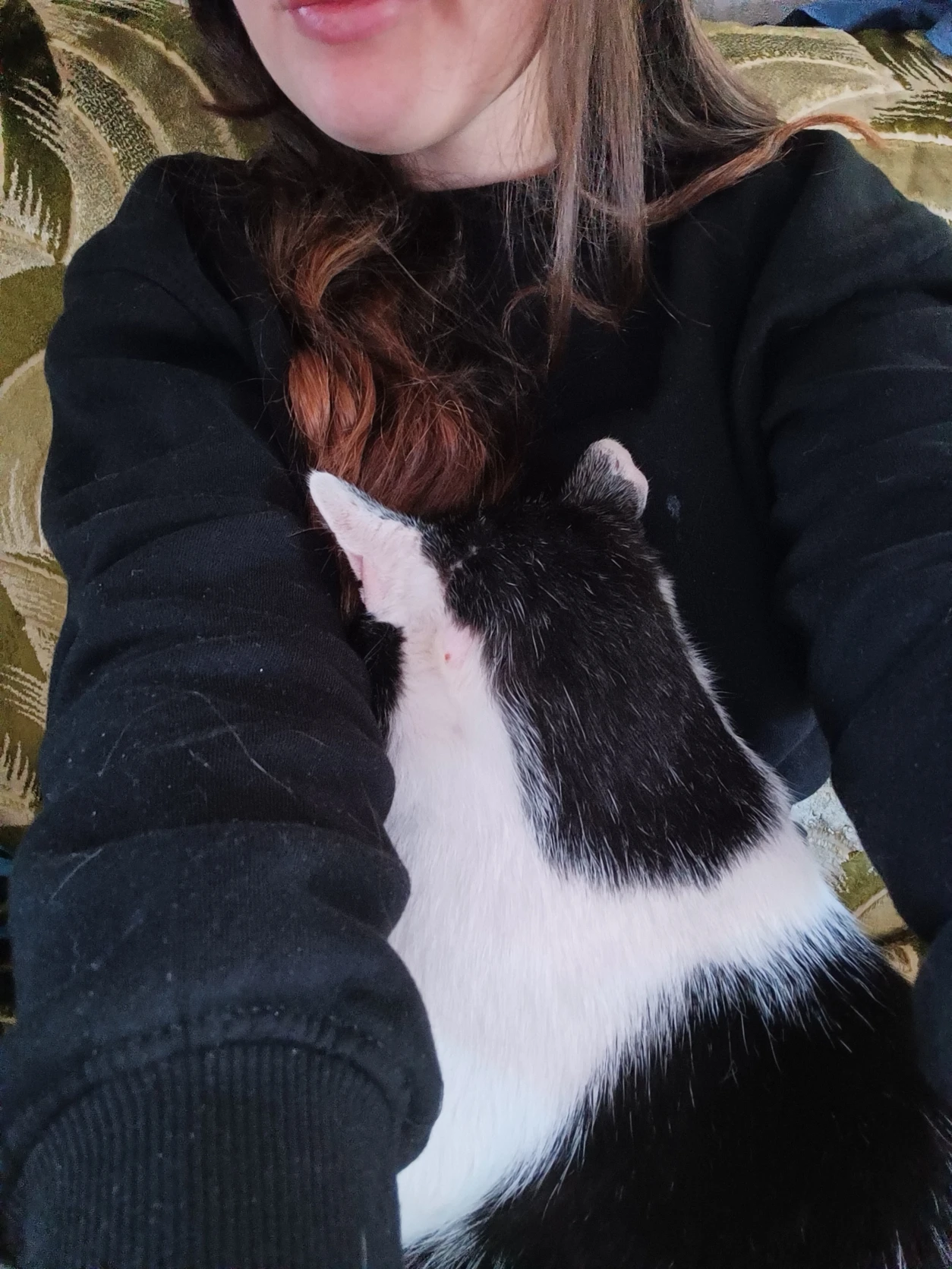 image-8