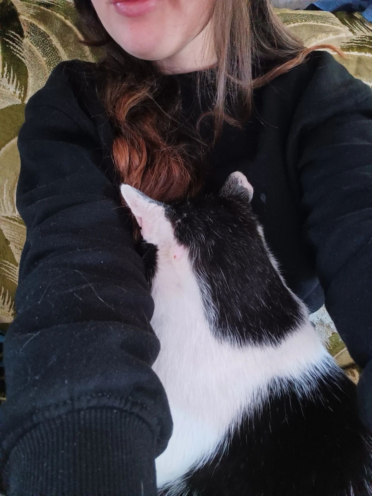 image-8