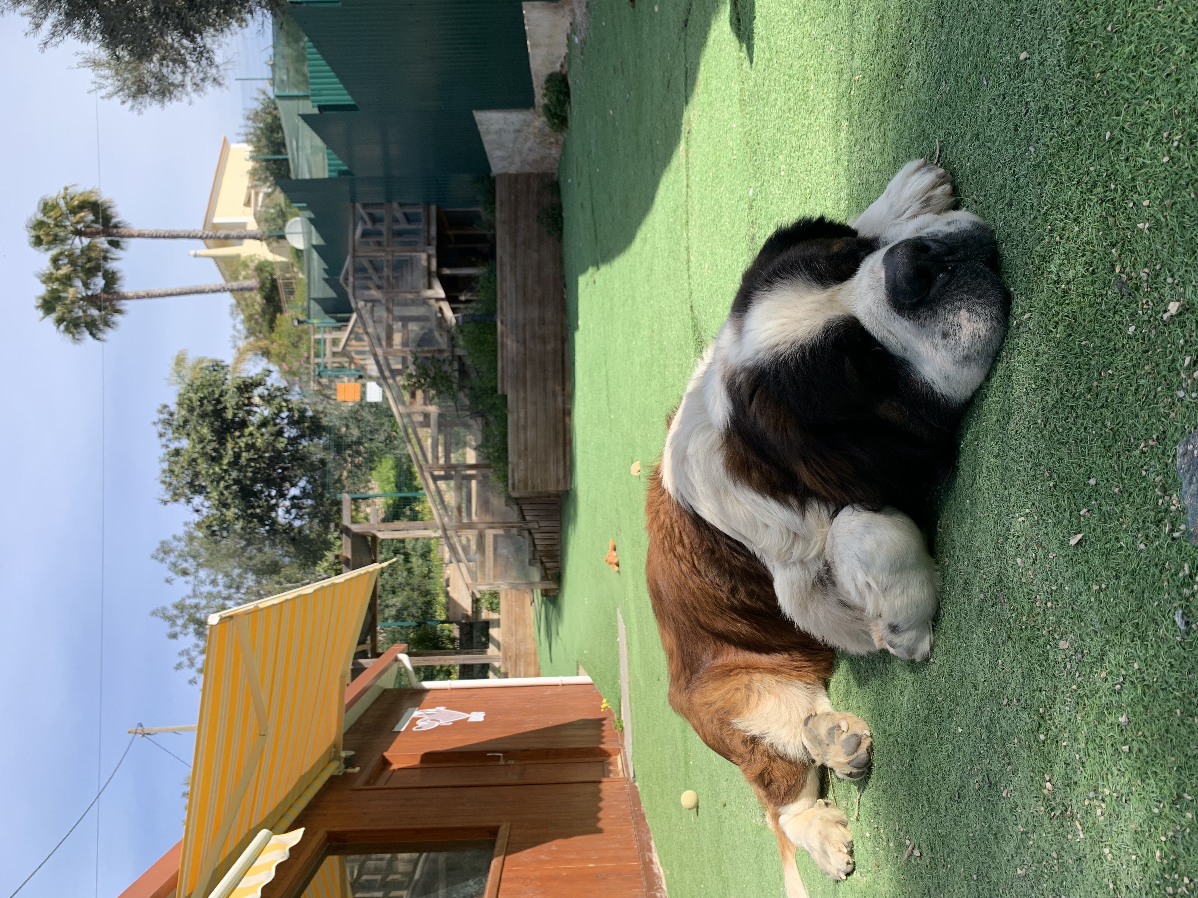 image-11