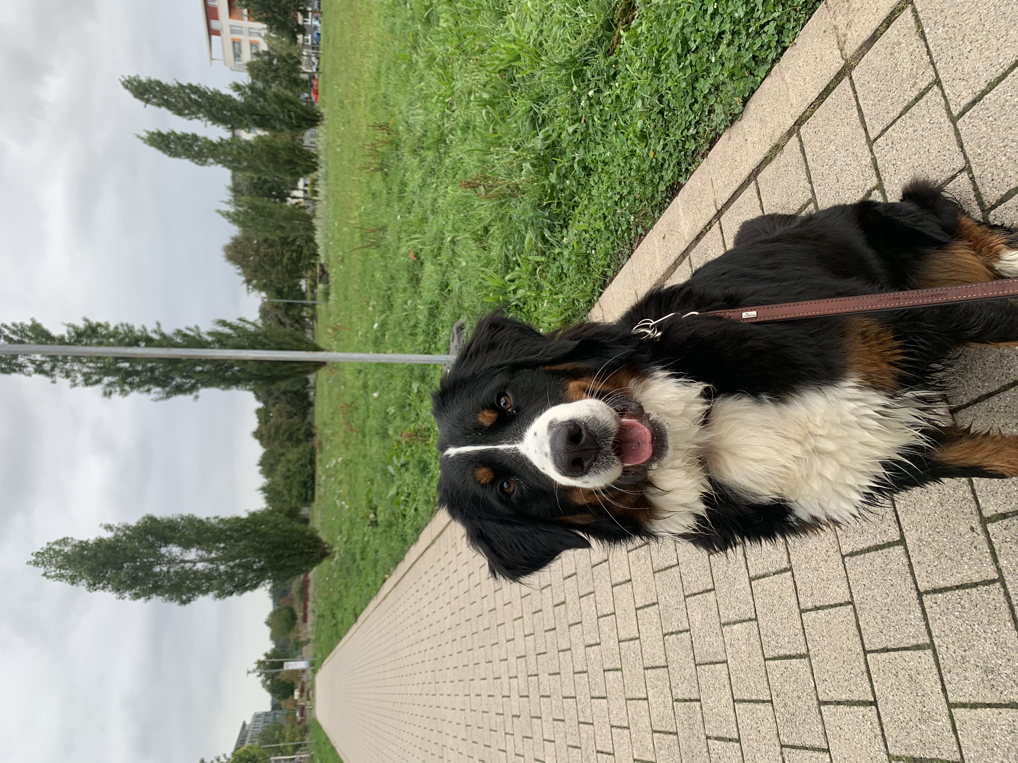 image-16