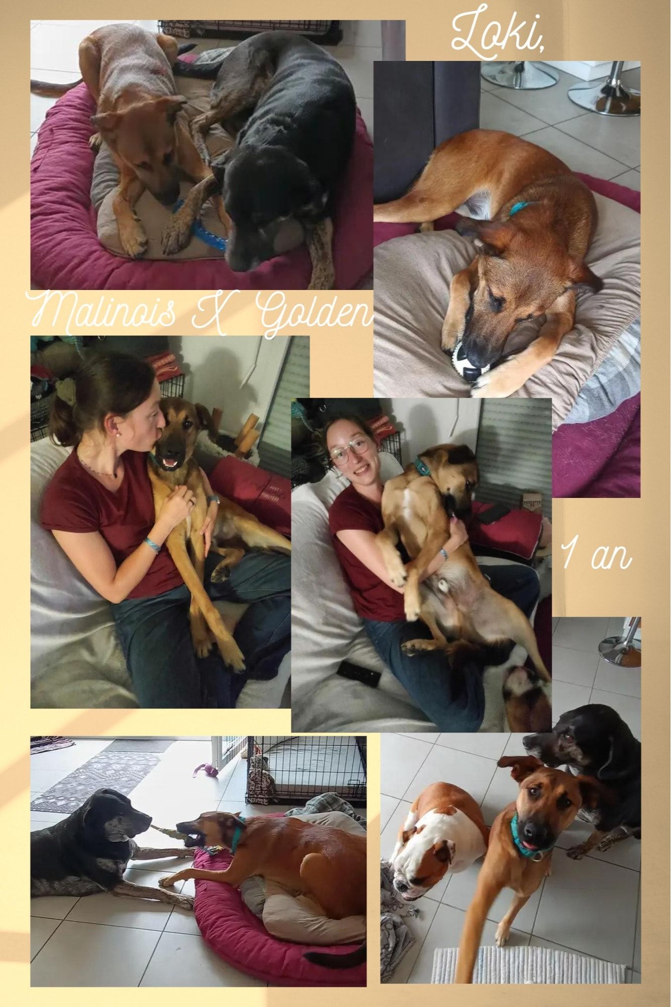 image-35
