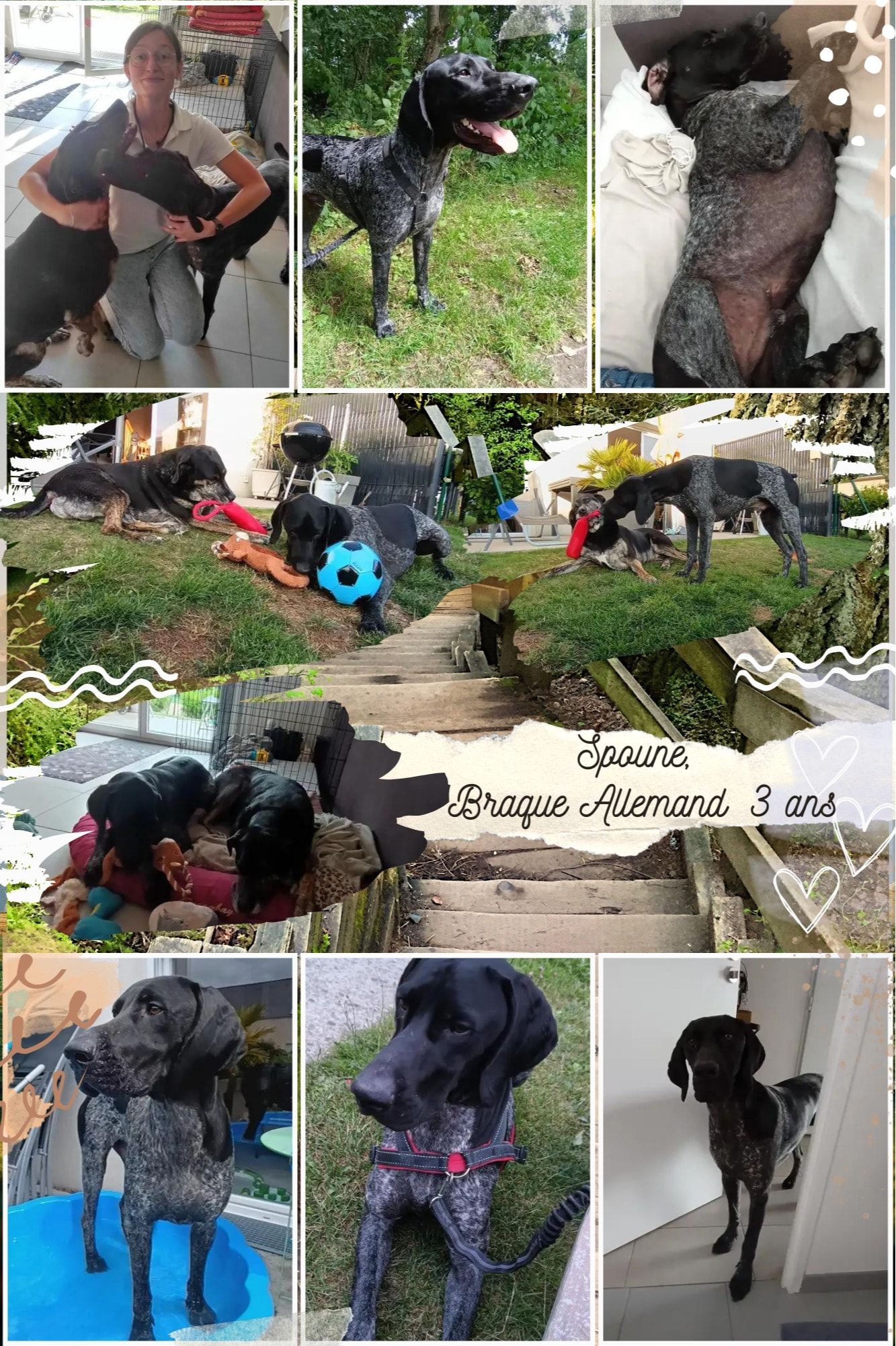 image-42