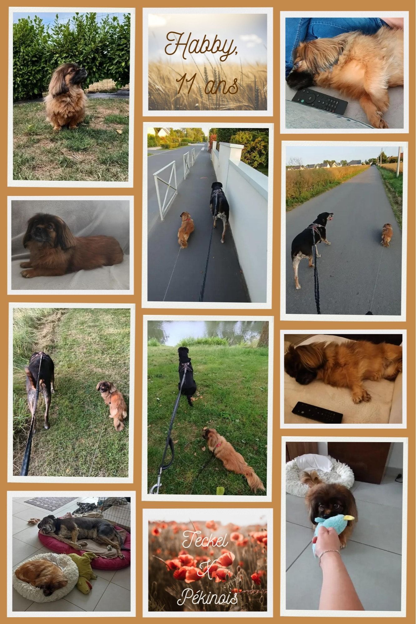 image-44