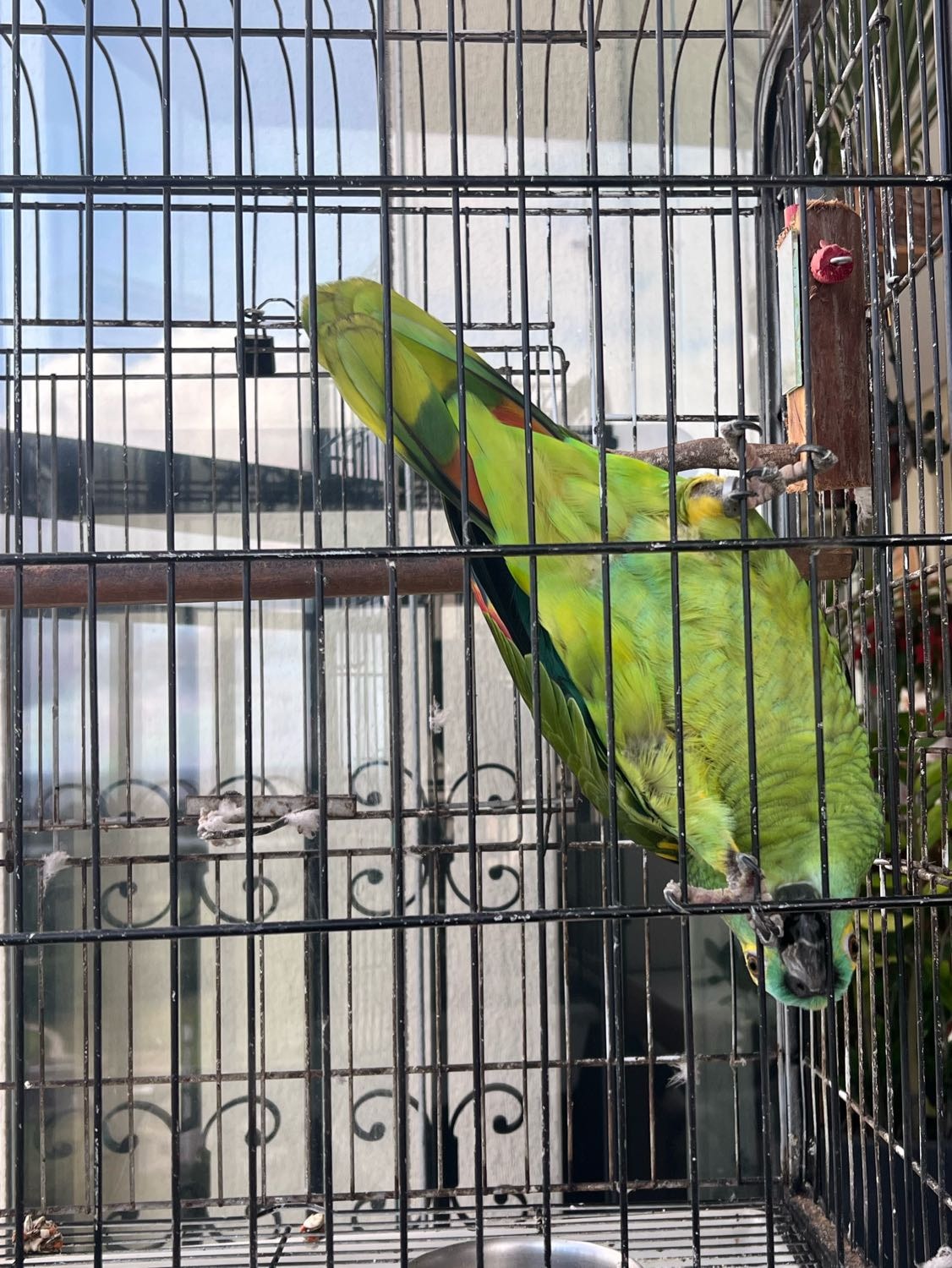 image-14