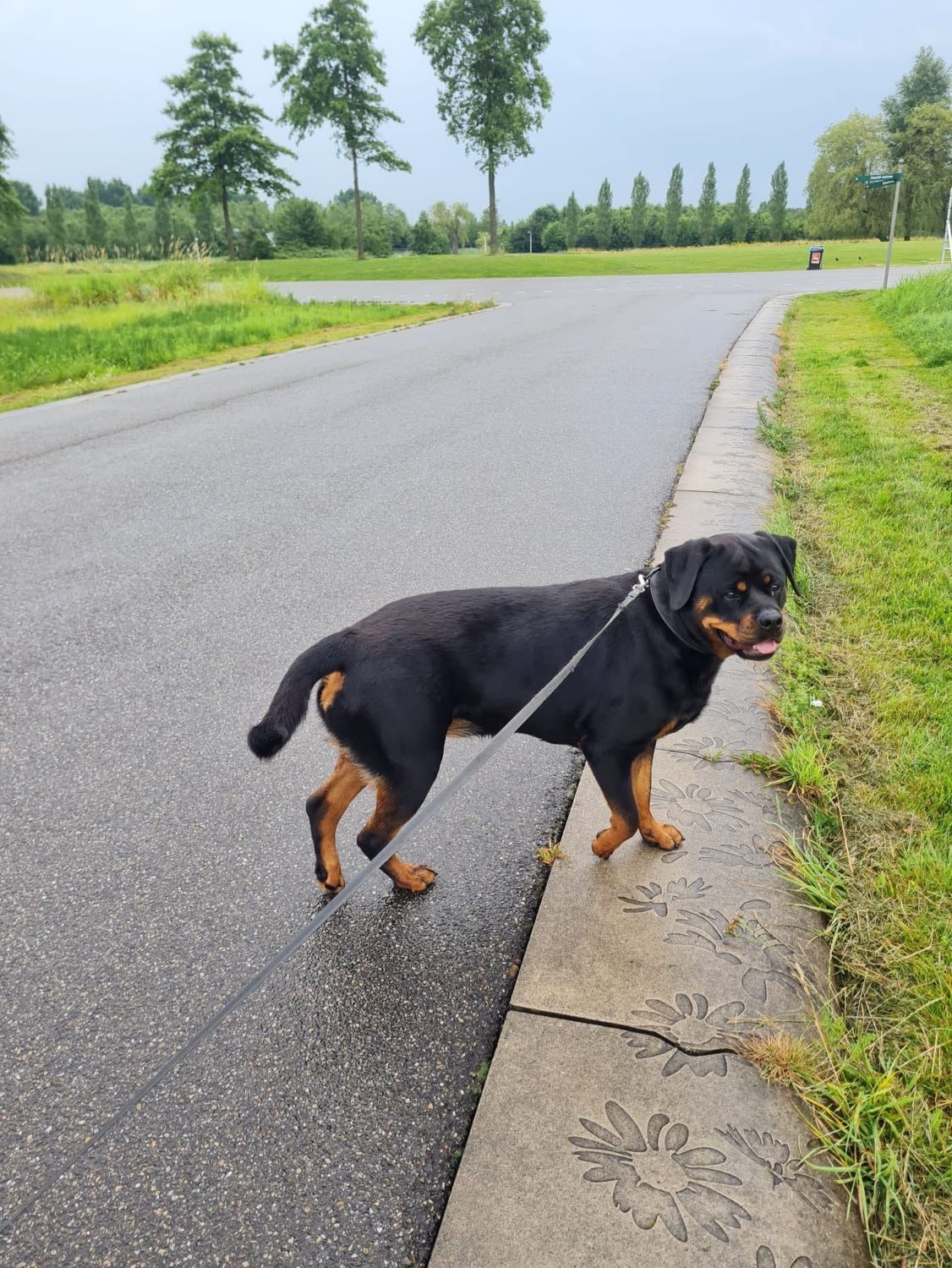 image-27