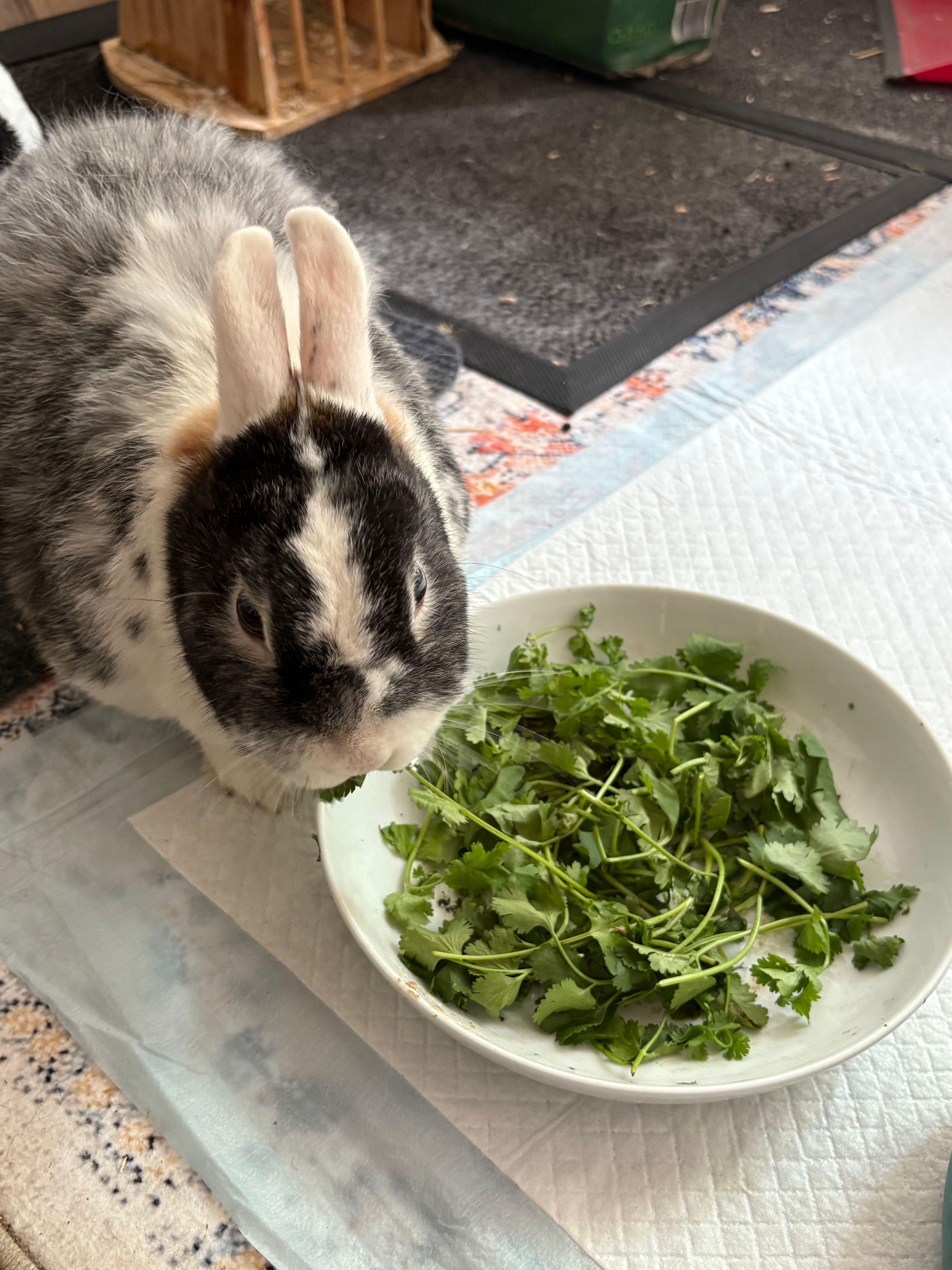 image-30