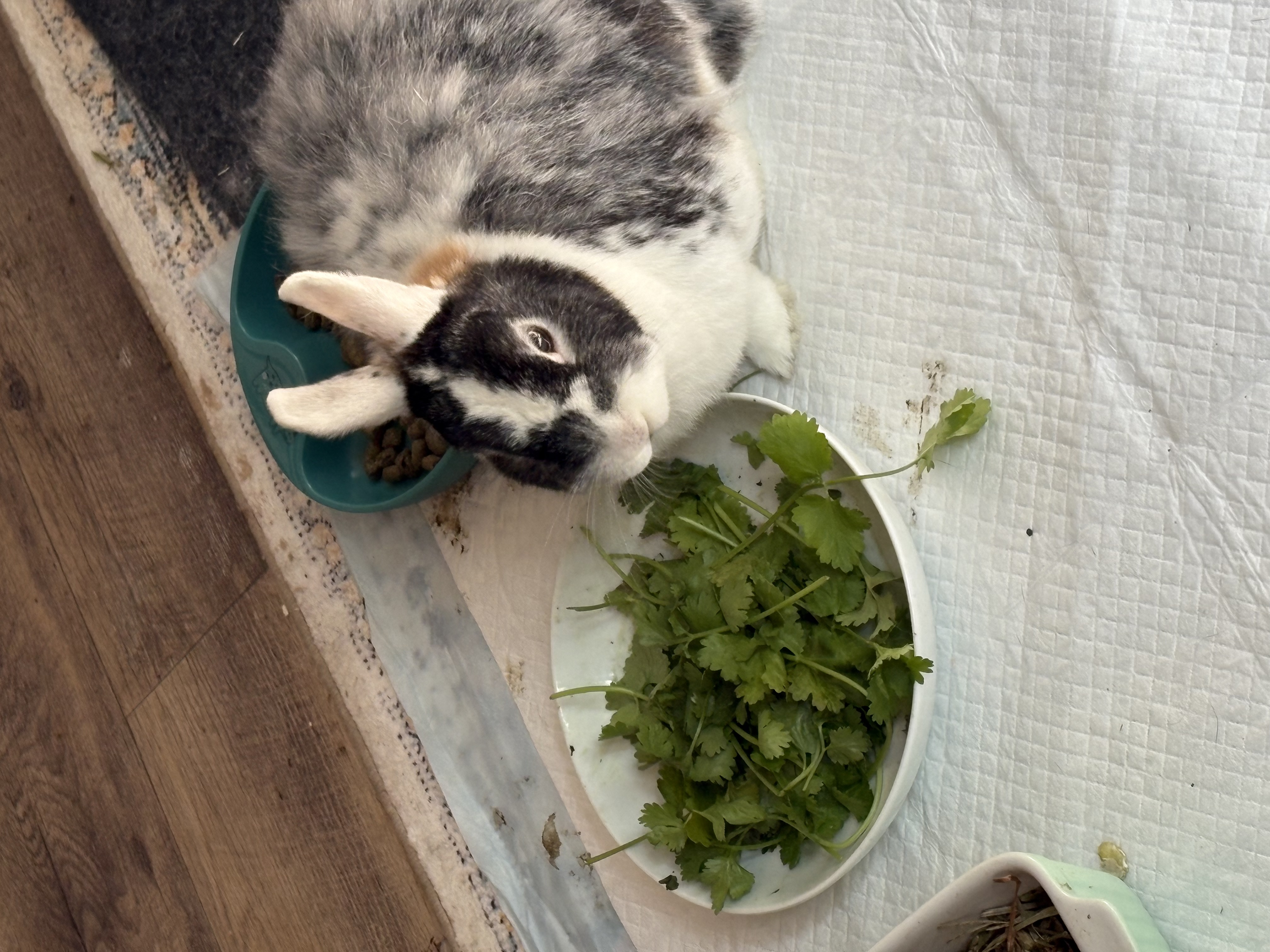 image-28