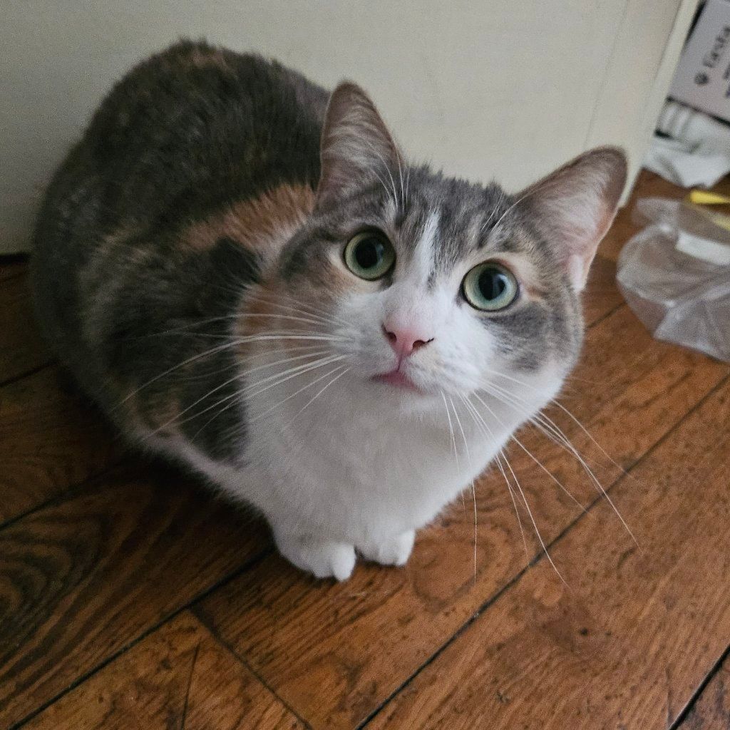 Hera