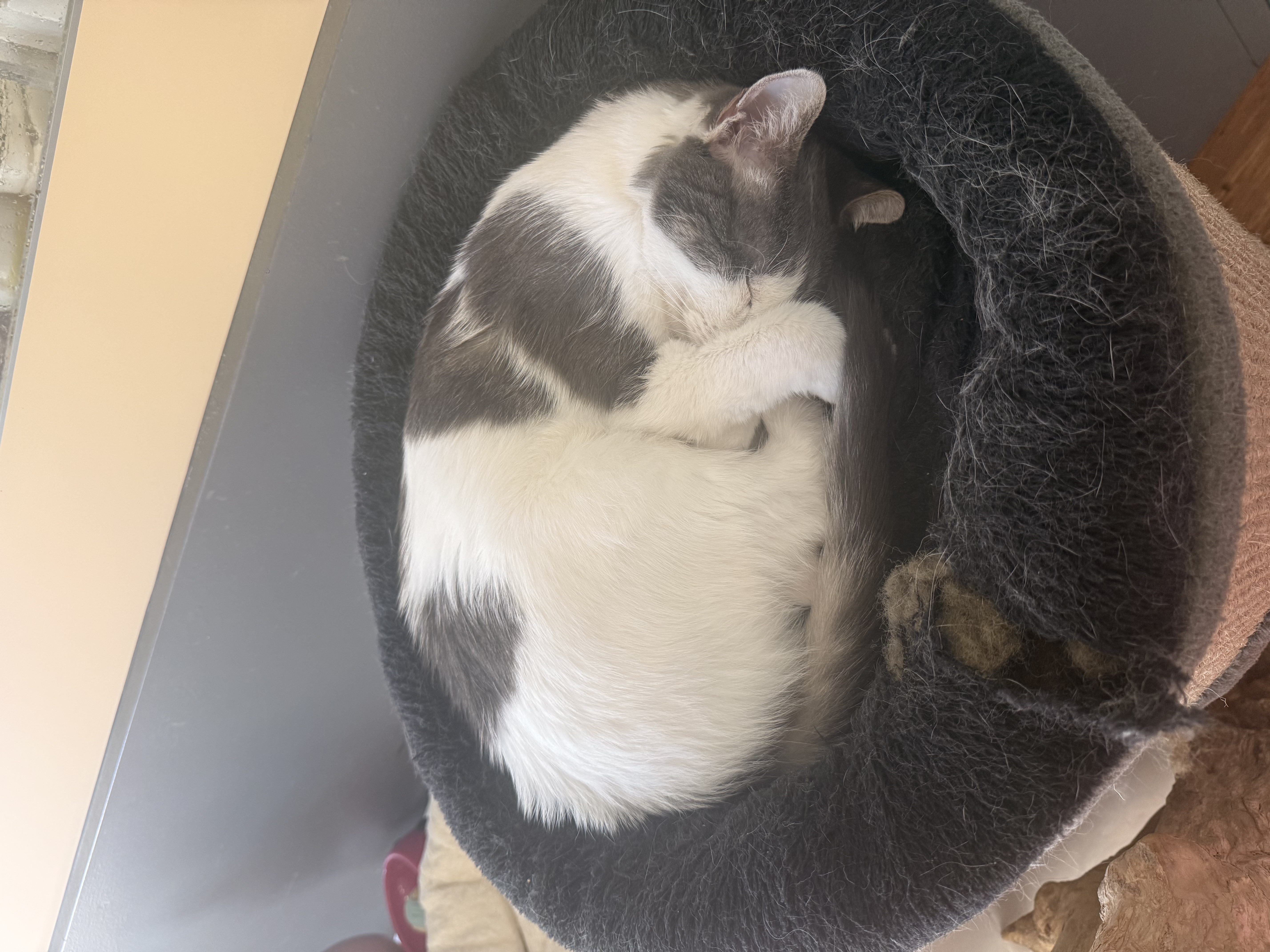 image-6