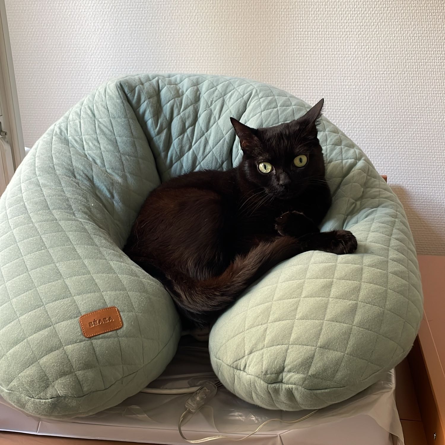 Mathilde