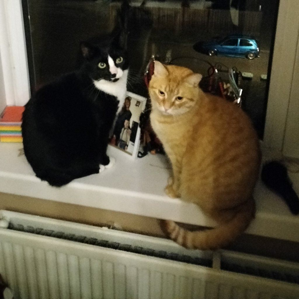 Vlekje And Maxi